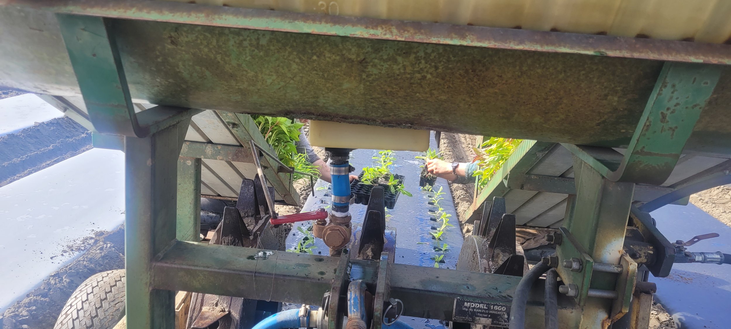 Mid-May Crop Report