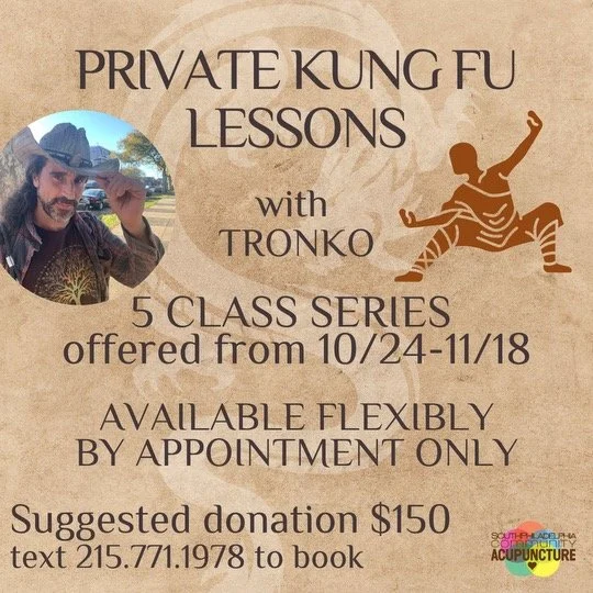 Private Kung Fu lessons with Tronko