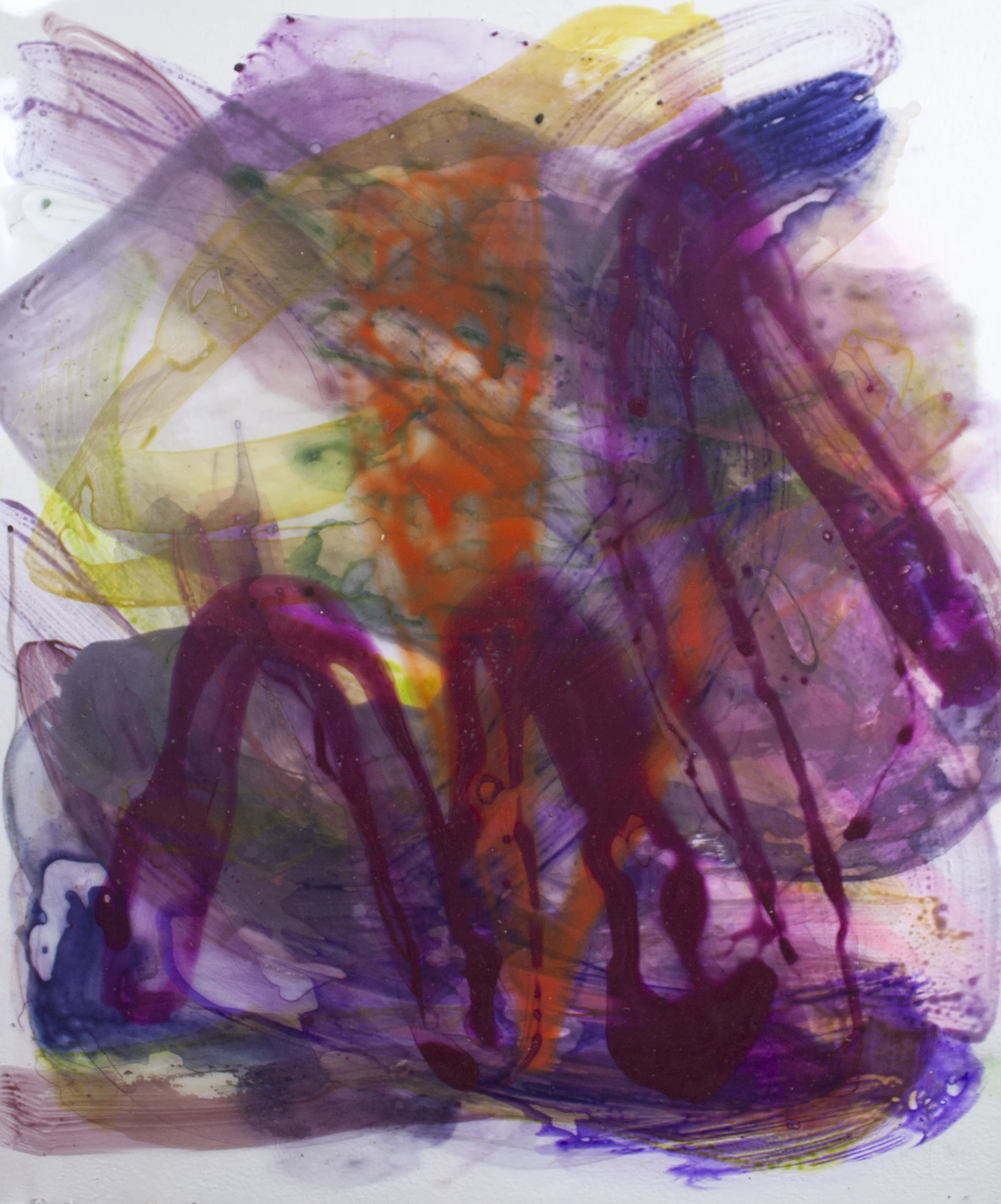 Cherry Pepper 2015 Acrylic on acetate 18x24 in