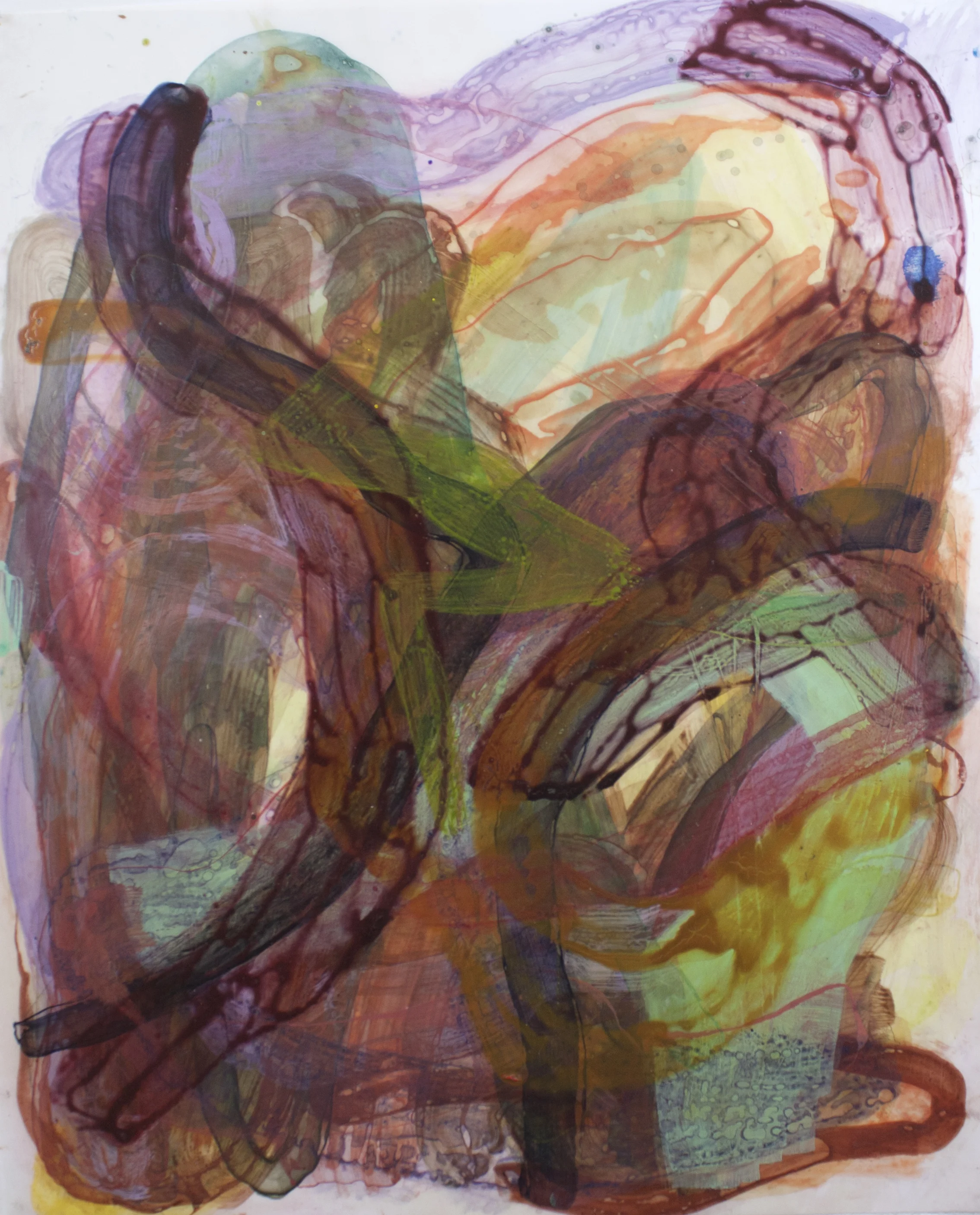 Bug Hum 2015 Acrylic on acetate 24x29 in