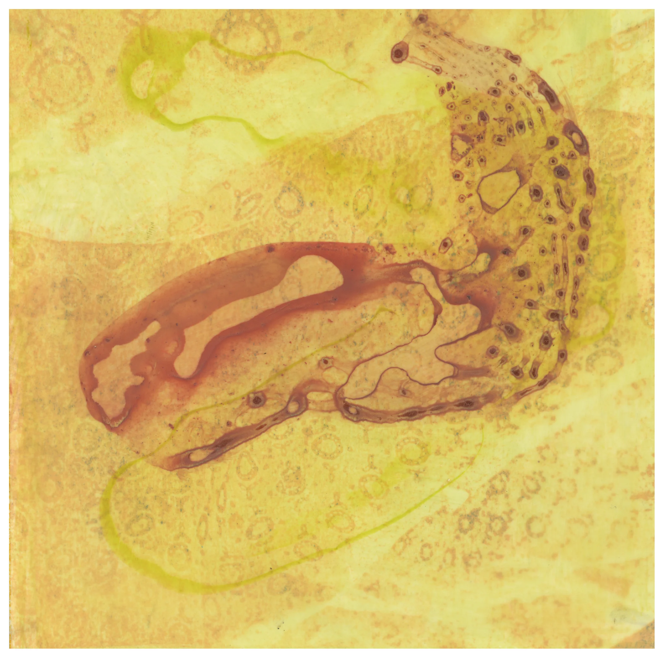 Space Seed 2015 Acrylic on acetate, paper litho on paper 7x7 in