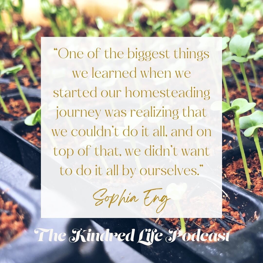 &ldquo;The beautiful web of being in community&rdquo; 💚and so much more inspiration is awaiting you in episode 53 of&nbsp;#thekindredlifepodcast&nbsp;with host&nbsp;@organicstine&nbsp;and special guest Sophia Eng of @sprinklewithsoil! 🌱

Sophia Eng