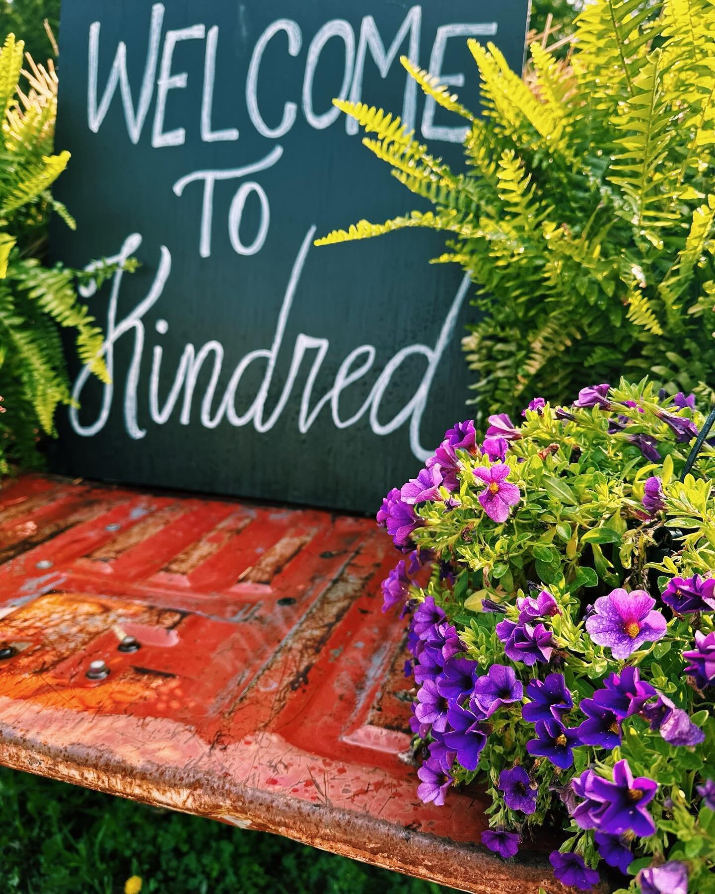 Hey friends! #thekindredfarmstore will be open&nbsp;every Saturday&nbsp;from&nbsp;9am-noon in May and June! 🌸

This Saturday, May 4th, we&rsquo;ll be moving the farm store to our brand new barn!&nbsp;Use the driveway that leads to the big white barn