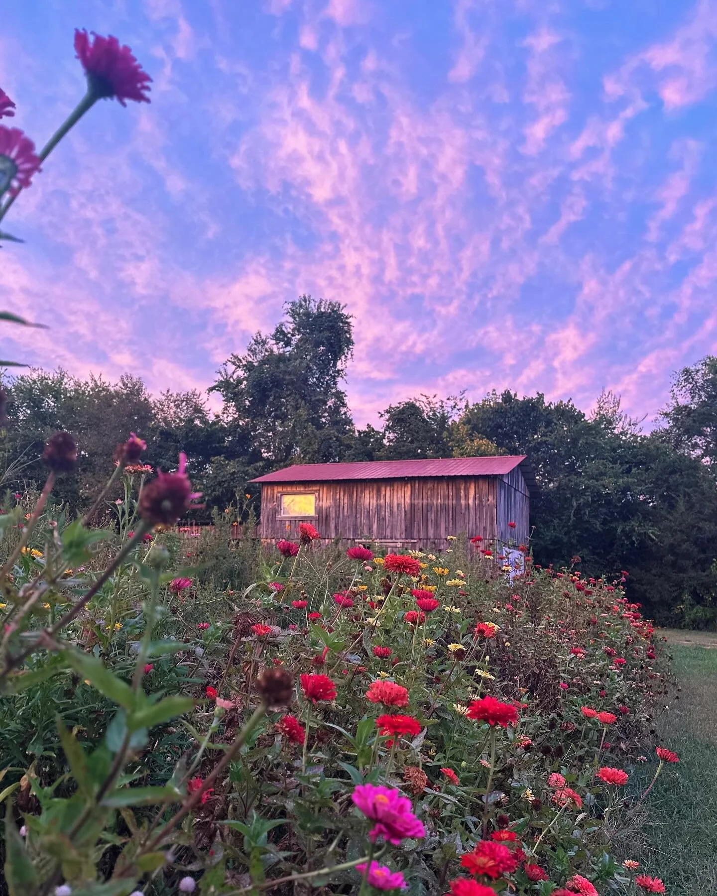 &ldquo;There came a day at summer&rsquo;s full entirely for me.&rdquo;

~ Emily Dickinson

There&rsquo;s a moment in late summer where the tone and light shifts&hellip;a new season of change is upon us. Soaking up as many golden hour moments as possi