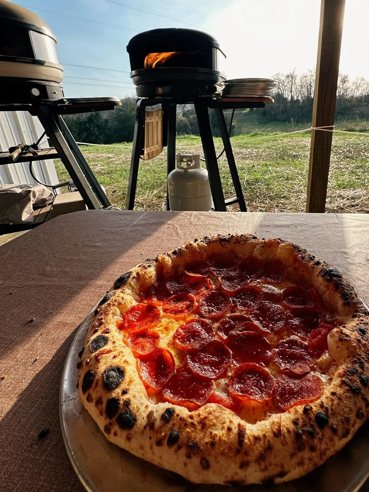 Is it Friday yet?!

✔️Spring countryside 🌿
✔️72-hour fermented artisan pizza
✔️Fresh salad &amp; fluffy focaccia
✔️Homemade gelato 🍨

JOIN US again for our PIZZAJOY family-friendly dinner on the farm this Friday from 4:30-7:30pm! Event details at l