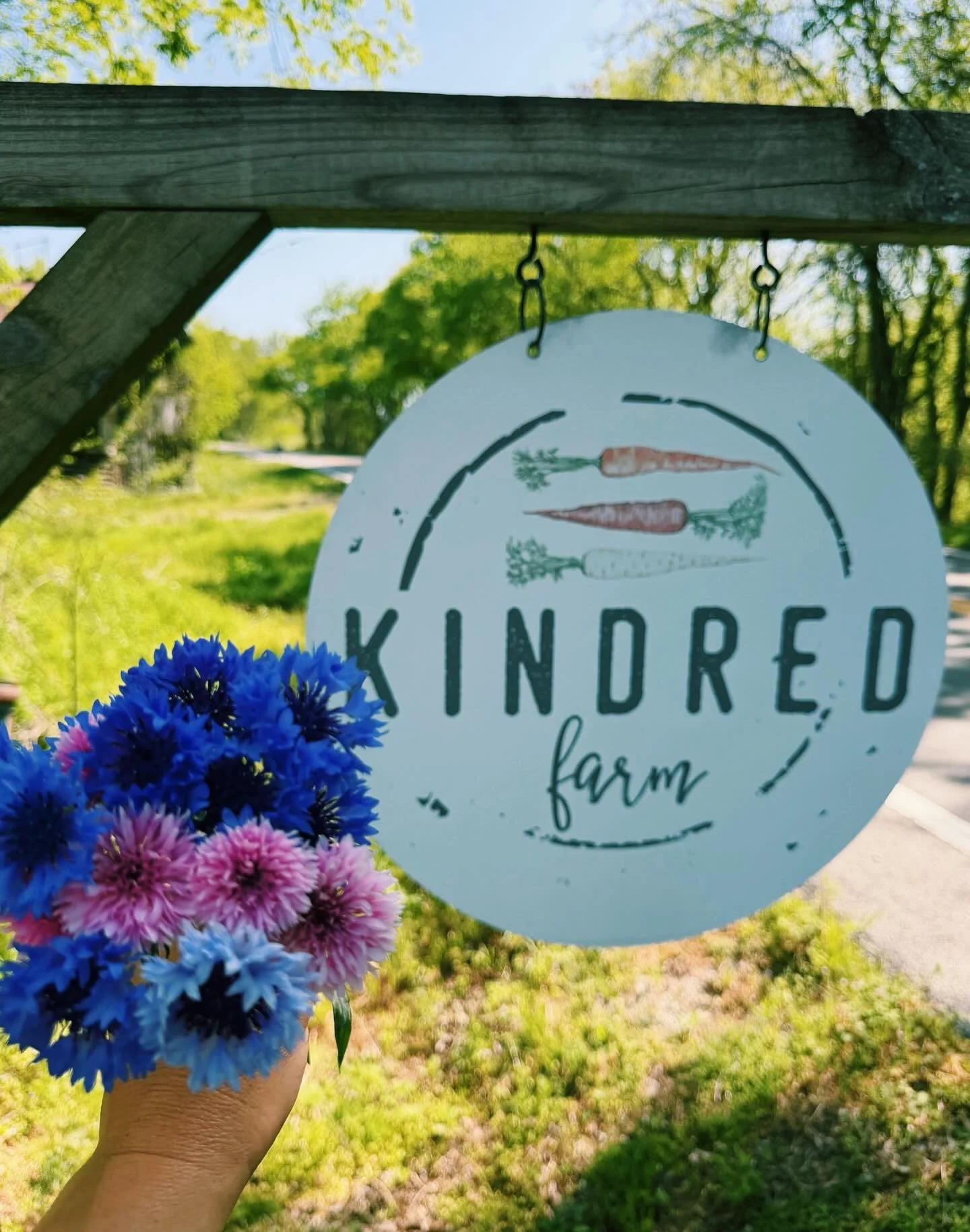 You know it&rsquo;s spring when the Bachelor&rsquo;s Buttons return! 💙💜🩷 

Come soak up spring at our food experiences coming up. 👉🏽 All event details at link in bio or thekindredfarm.com. 💚

#wildflowers #nashvilleevents #nashvillefood #nashvi
