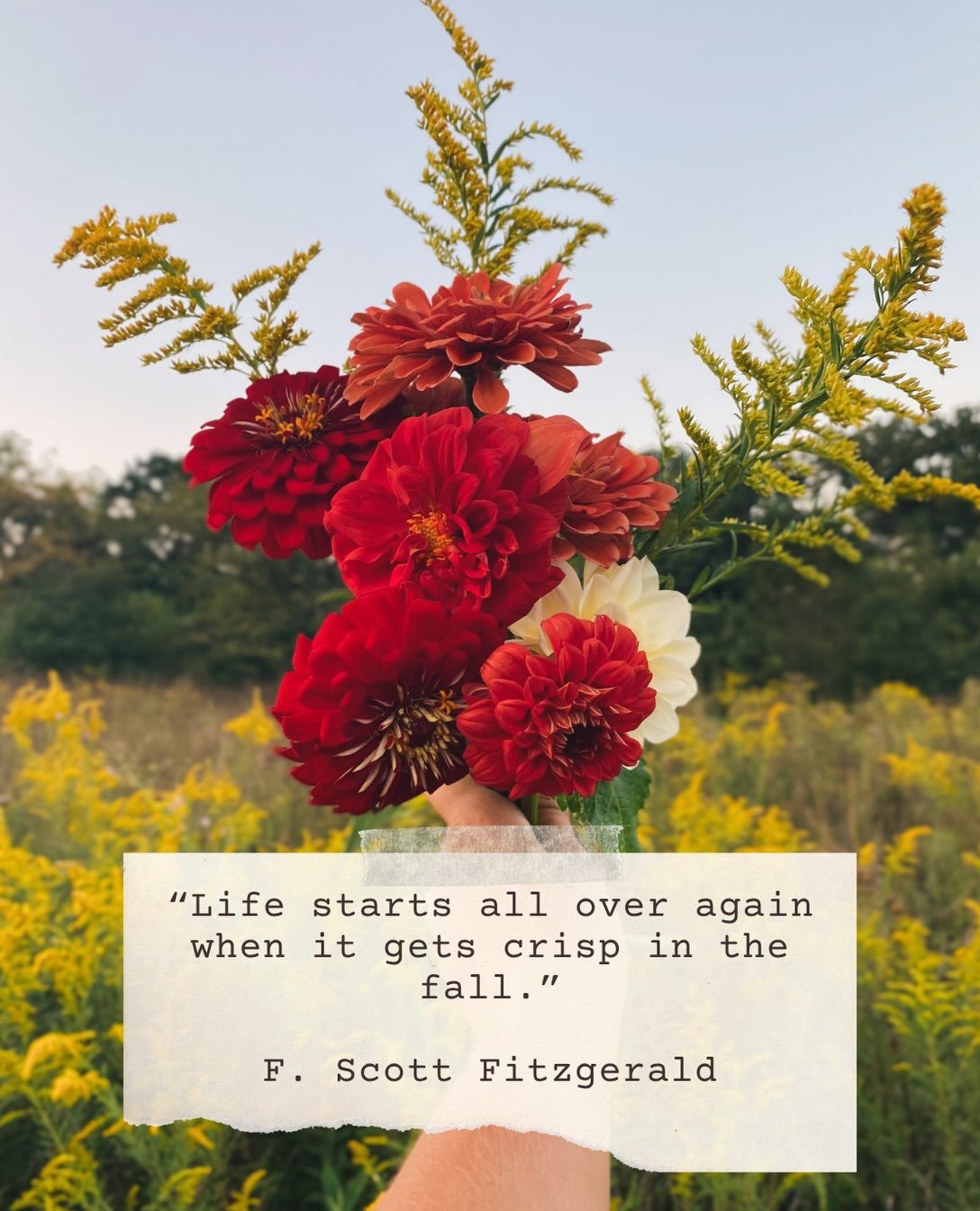 Goodbye, summer. ✌🏽Tomorrow is the autumn equinox on September 22nd. The light is changing over the pastures and goldenrod meadows. Soon, the air will feel like it, too. We&rsquo;re looking forward to all the goodness this new season will bring! 🍂 