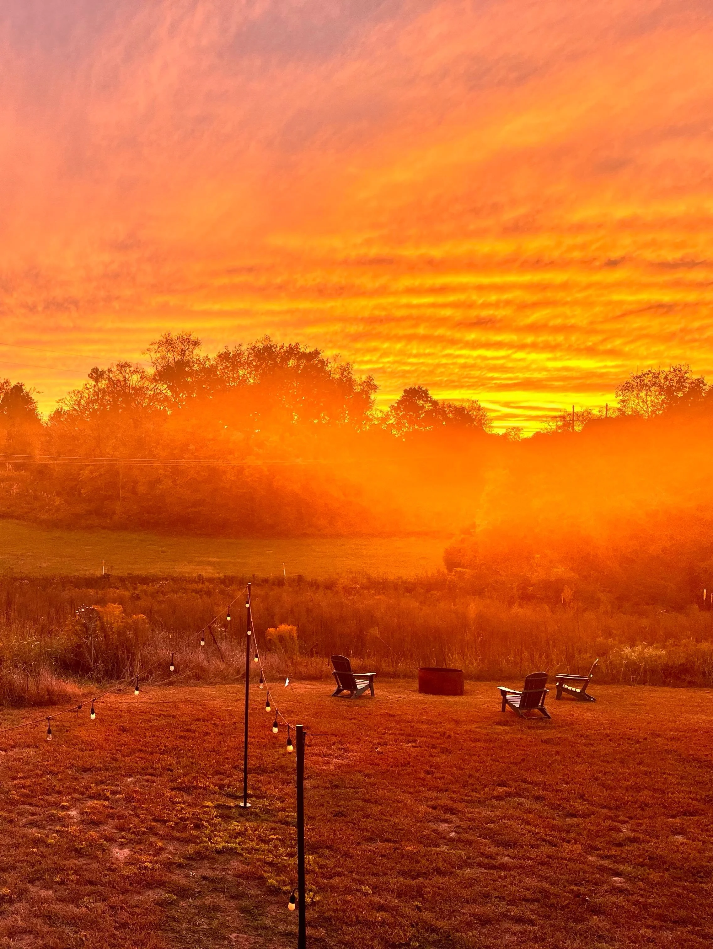 We&rsquo;ve had so many incredible fall sunsets this year - and here&rsquo;s one of the best. No filter. View from the porch of our &ldquo;Sunset&rdquo; BnB, which is why we named it that. 🌄 

Thanks for the photo @mamakellett. 🧡

#fallsunset #gold