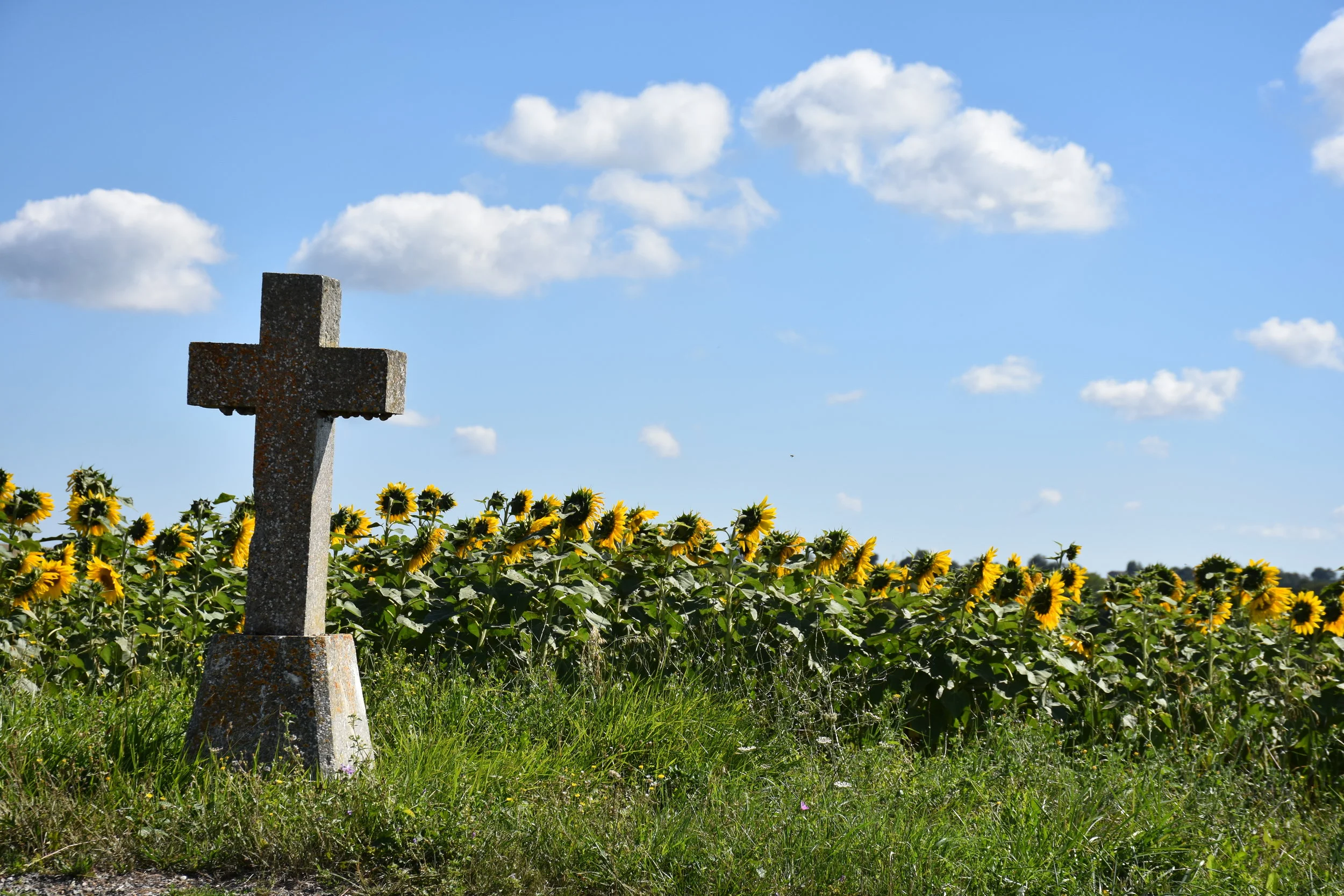 DSC_1370.JPG