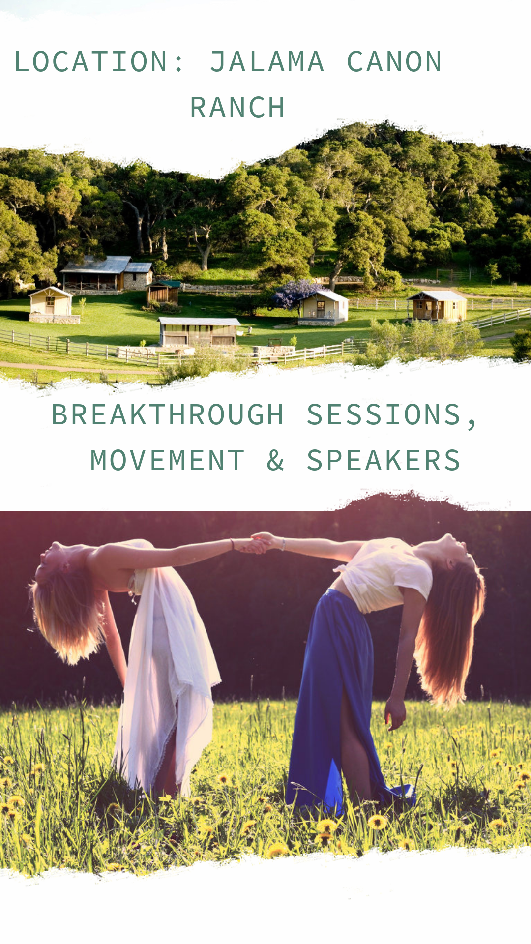 Untitled Design 3.PNG