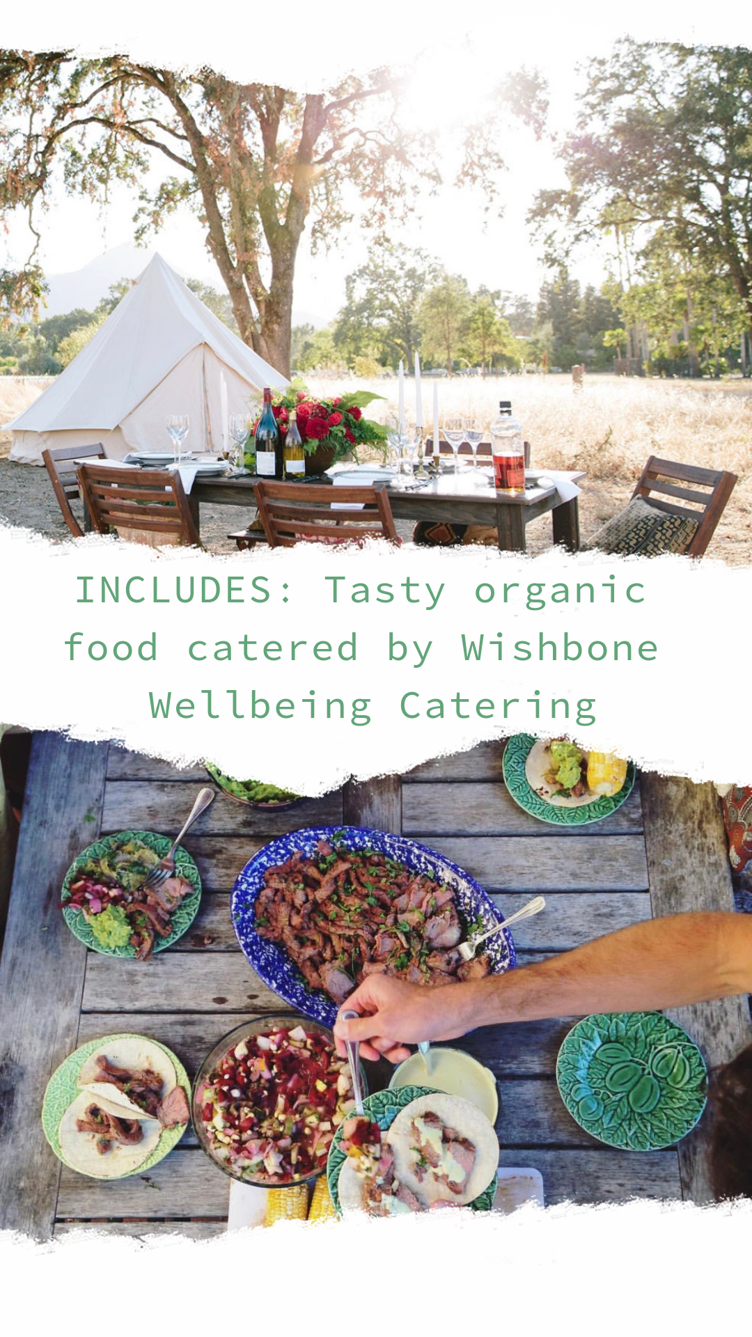 Untitled Design 2.PNG