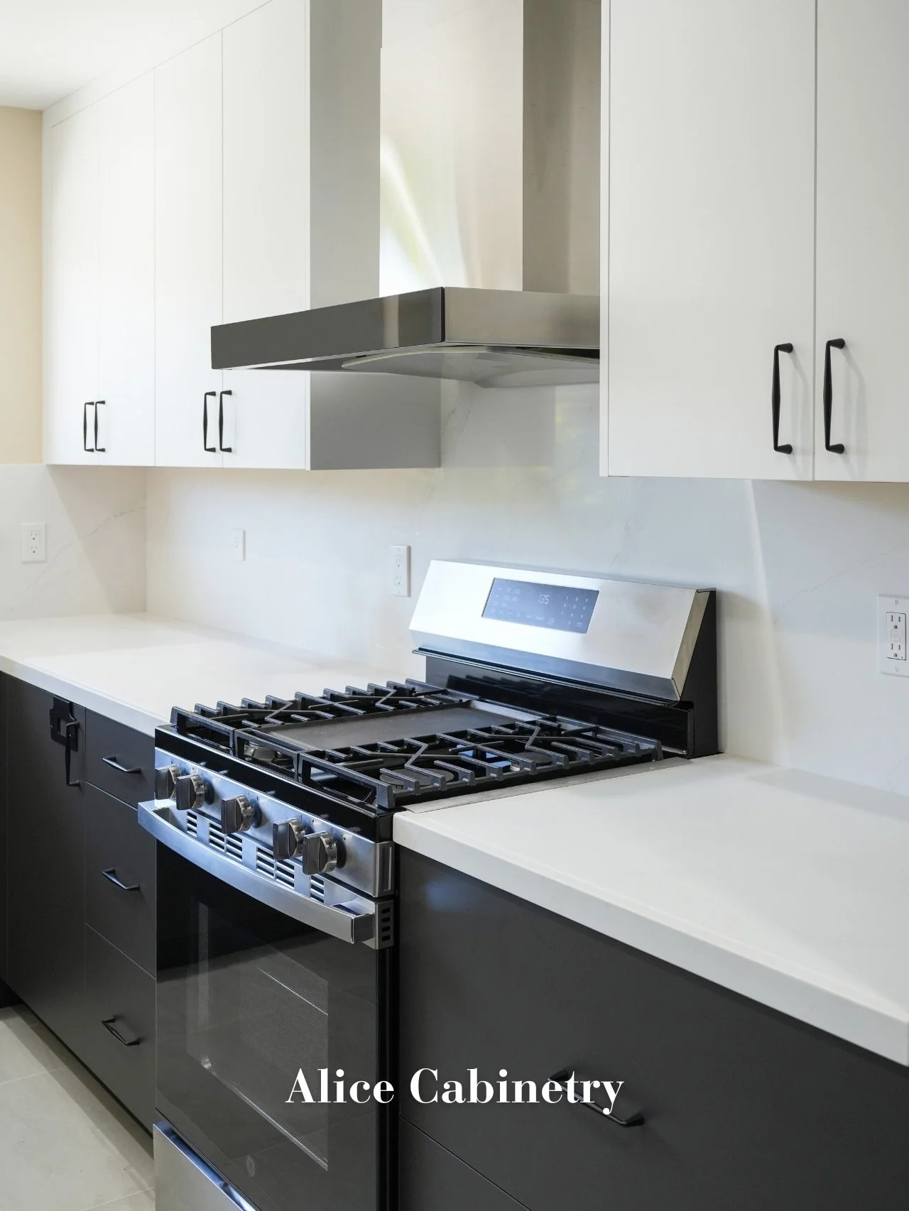 Open the Kitchen Cabinets and Take a Look at the Storage Features

This kitchen features Alice Cabinetry Flat Panel Full Access Cabinets. The upper cabinets are finished in Blanco Matte, while the base cabinets and select tall cabinets are finished i