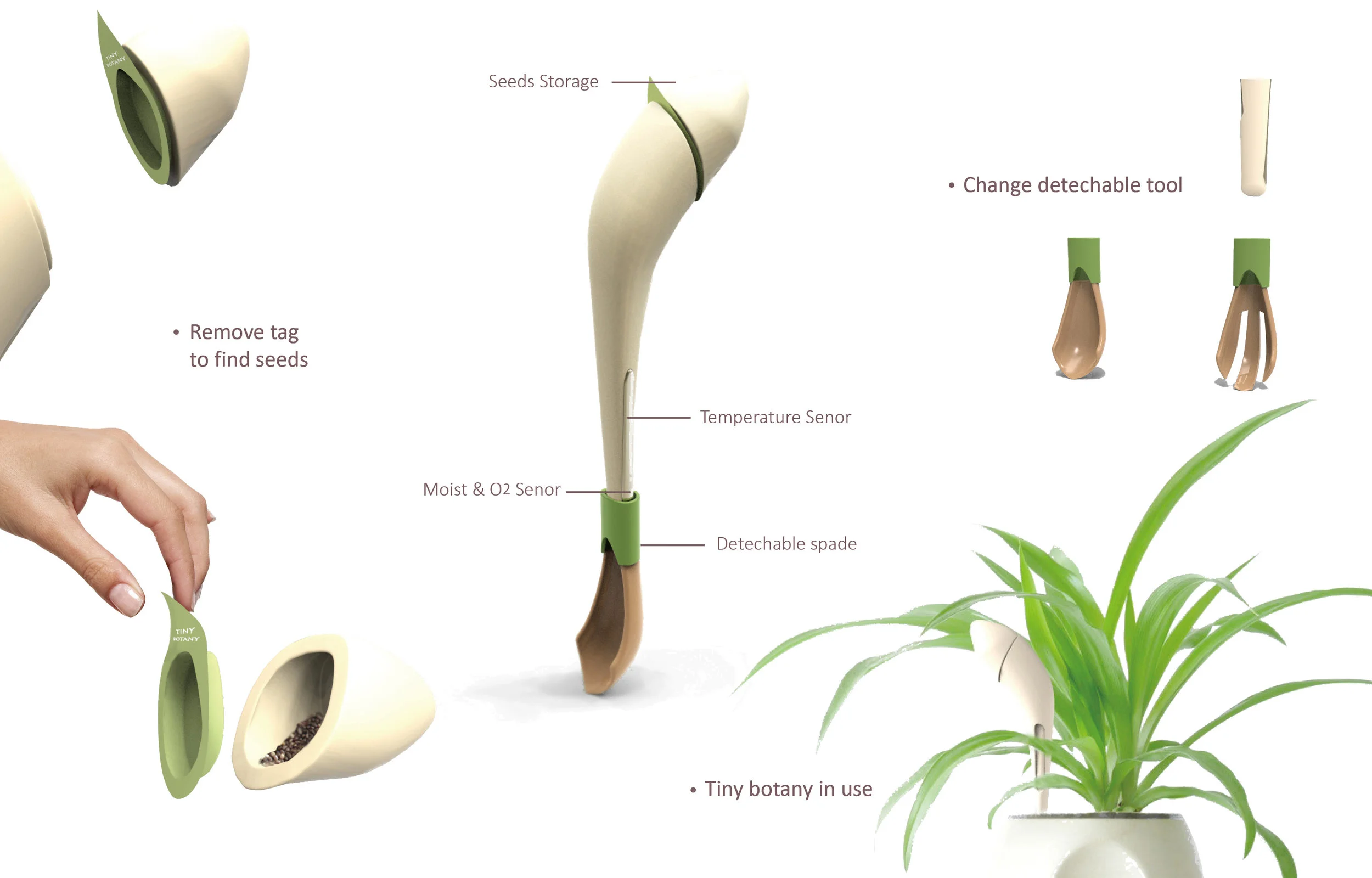 plant2'.jpg