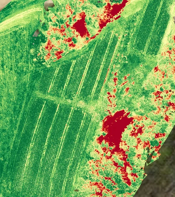 Normalized Difference Vegetation Index-NDVI_161010.jpg