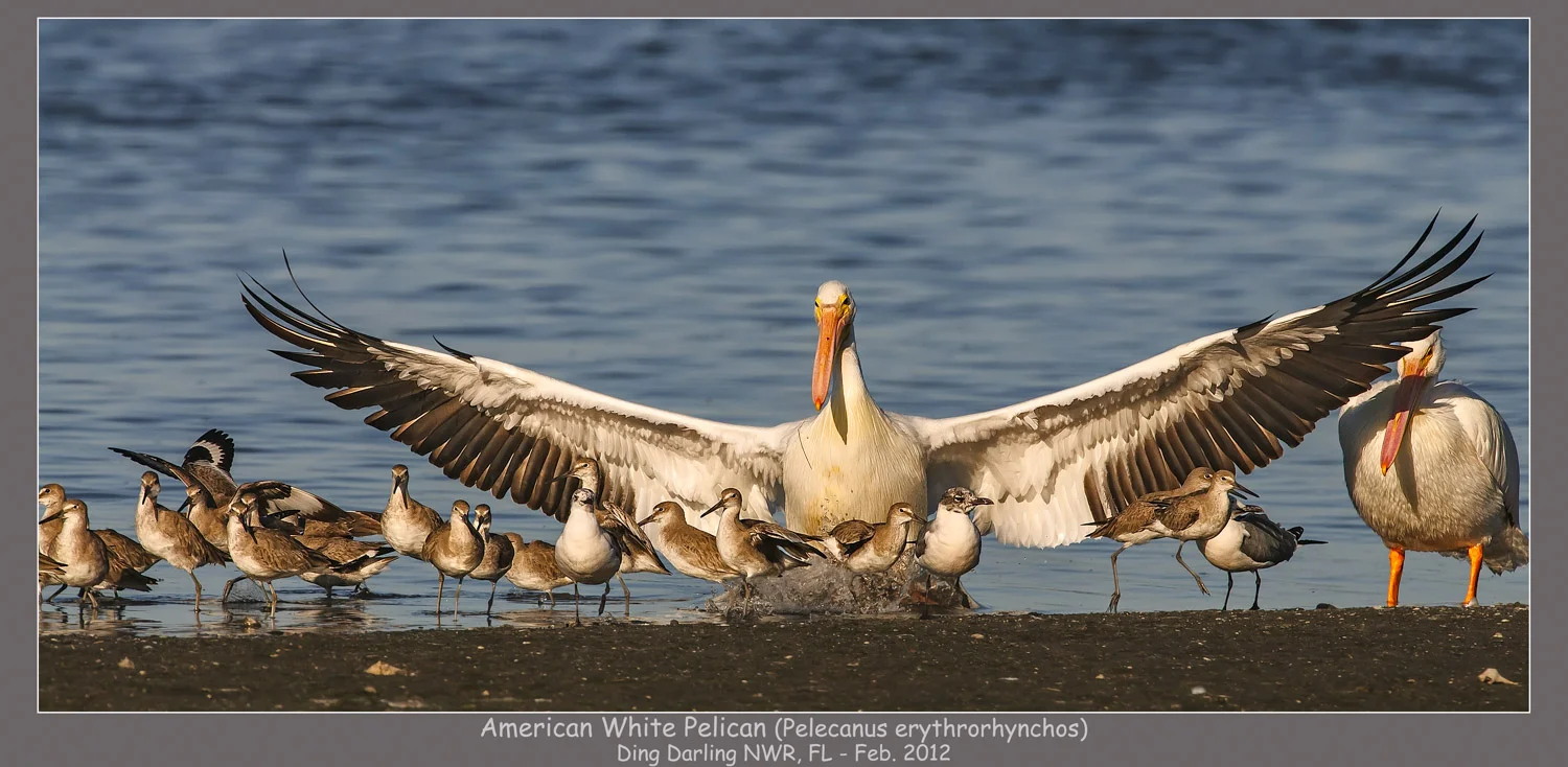 20120214-_D3S6065-Edit-Edit.jpg