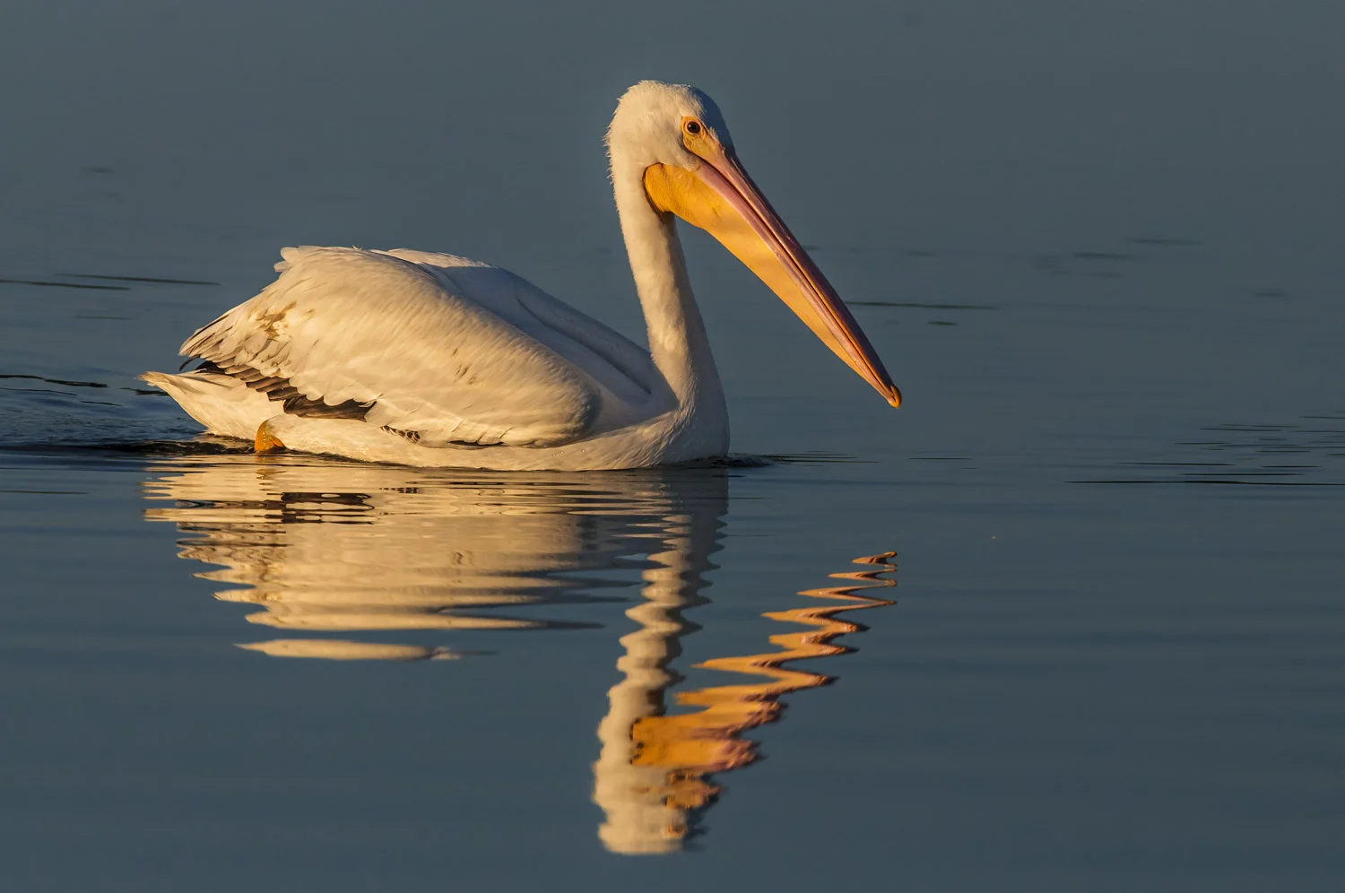 20120215-_D3S7255-Edit.jpg