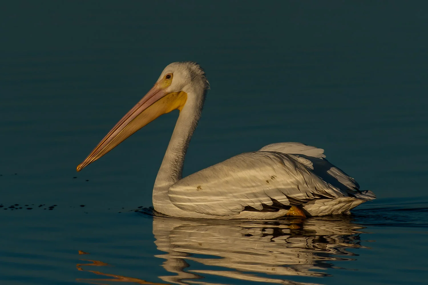 20120215-_D7C2915-Edit.jpg