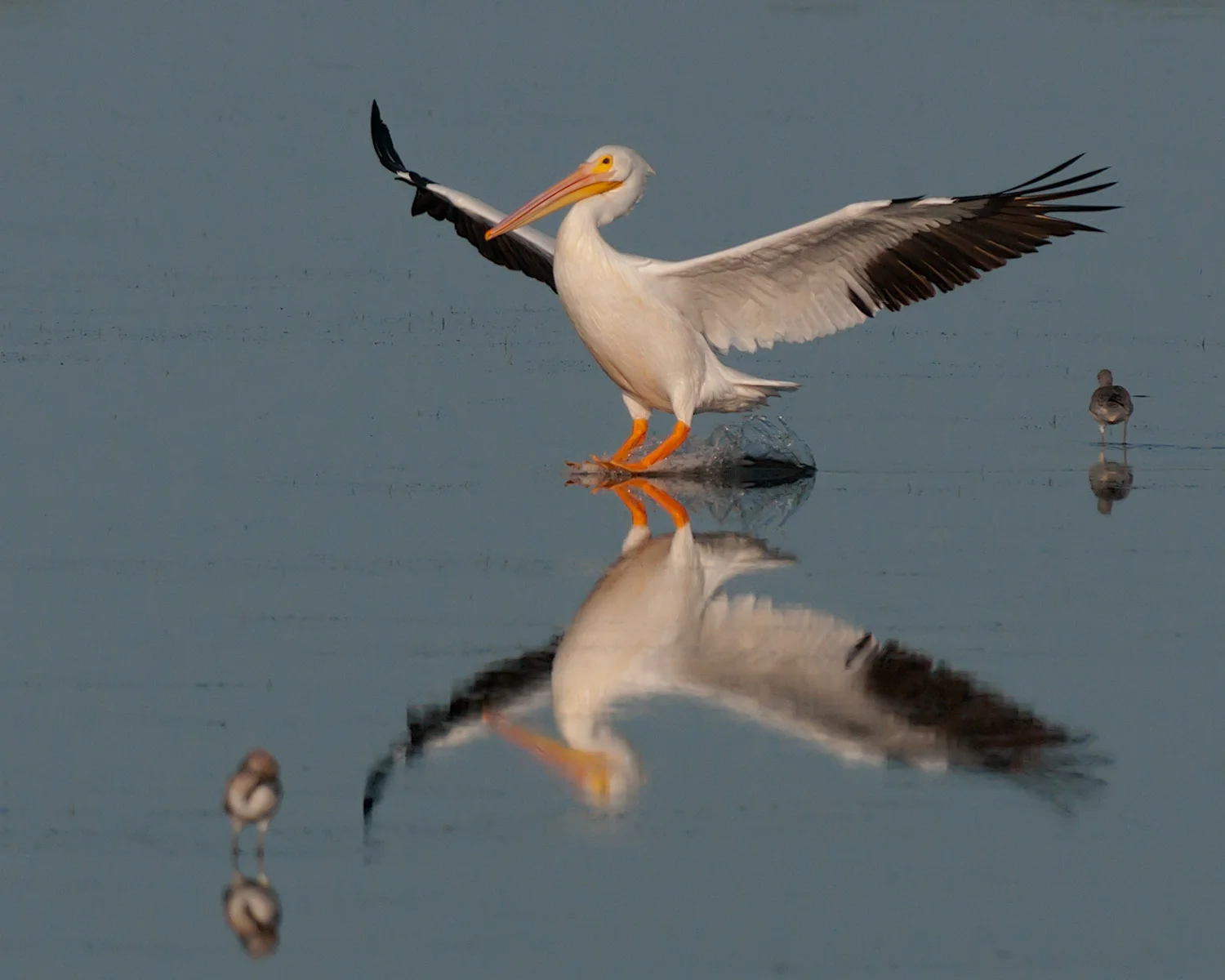 20120216-_D3S8737-Edit-3.jpg