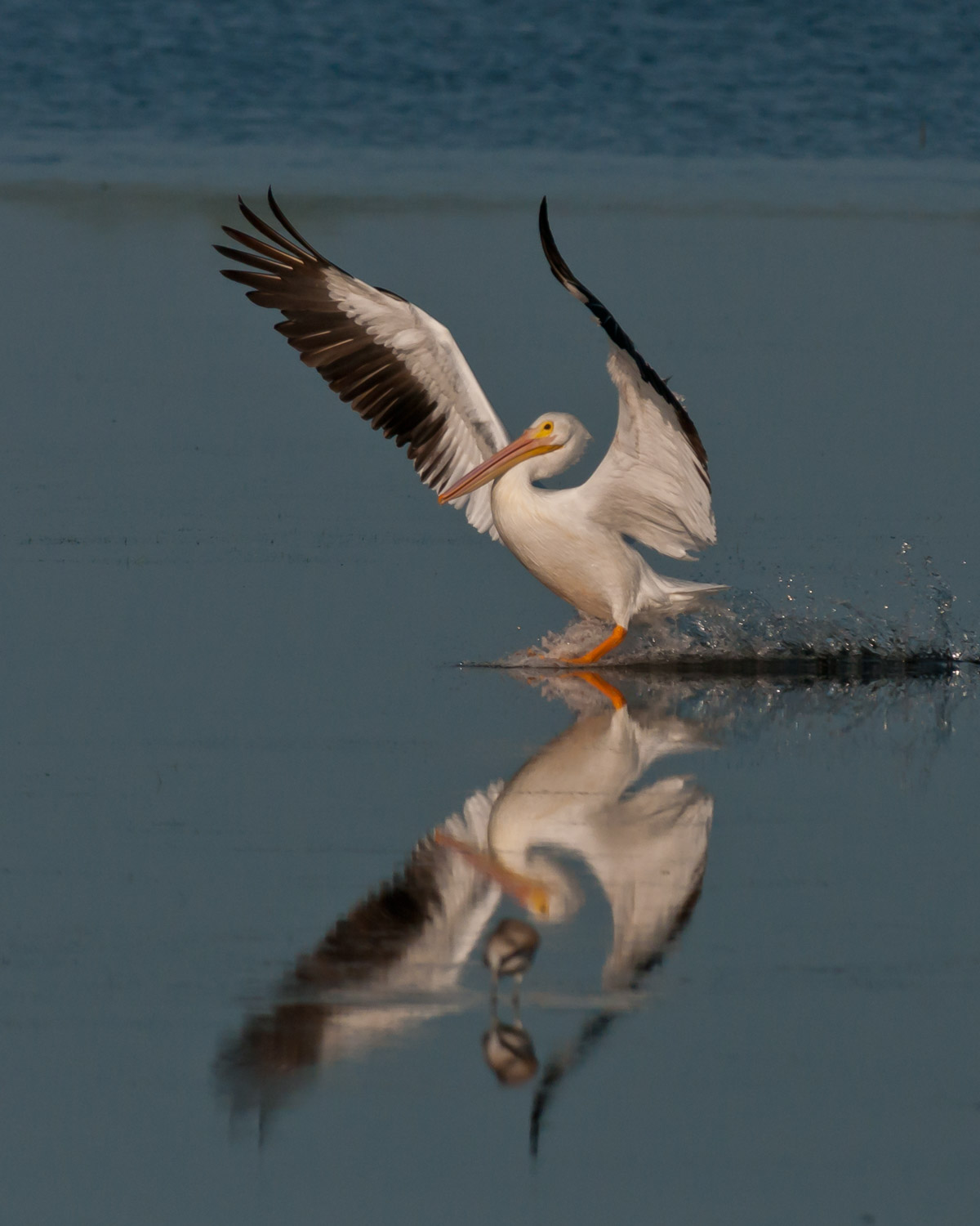 20120216-_D3S8738.jpg