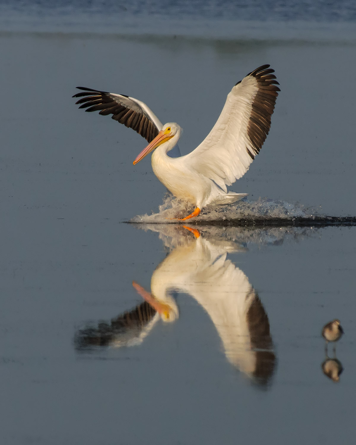 20120216-_D3S8739-Edit.jpg