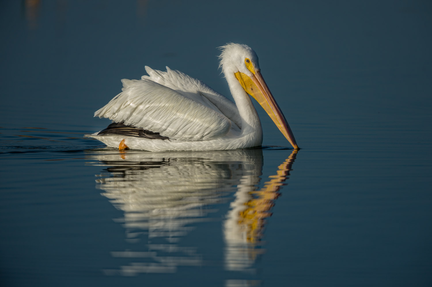 20150120-_D4S9082-Edit.jpg