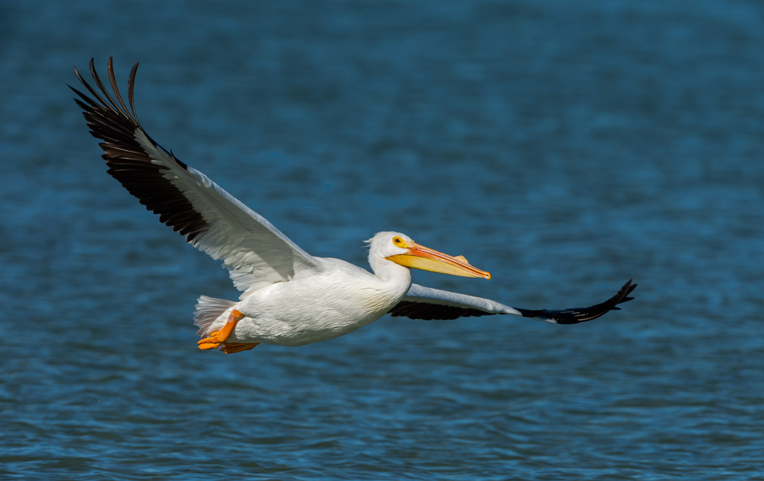 20150120-_D4S9947-Edit.jpg