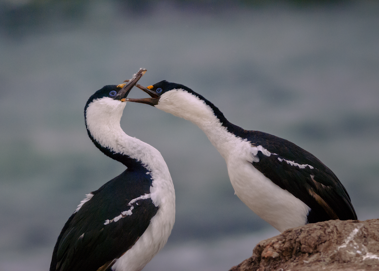 How my passion for nature photography began