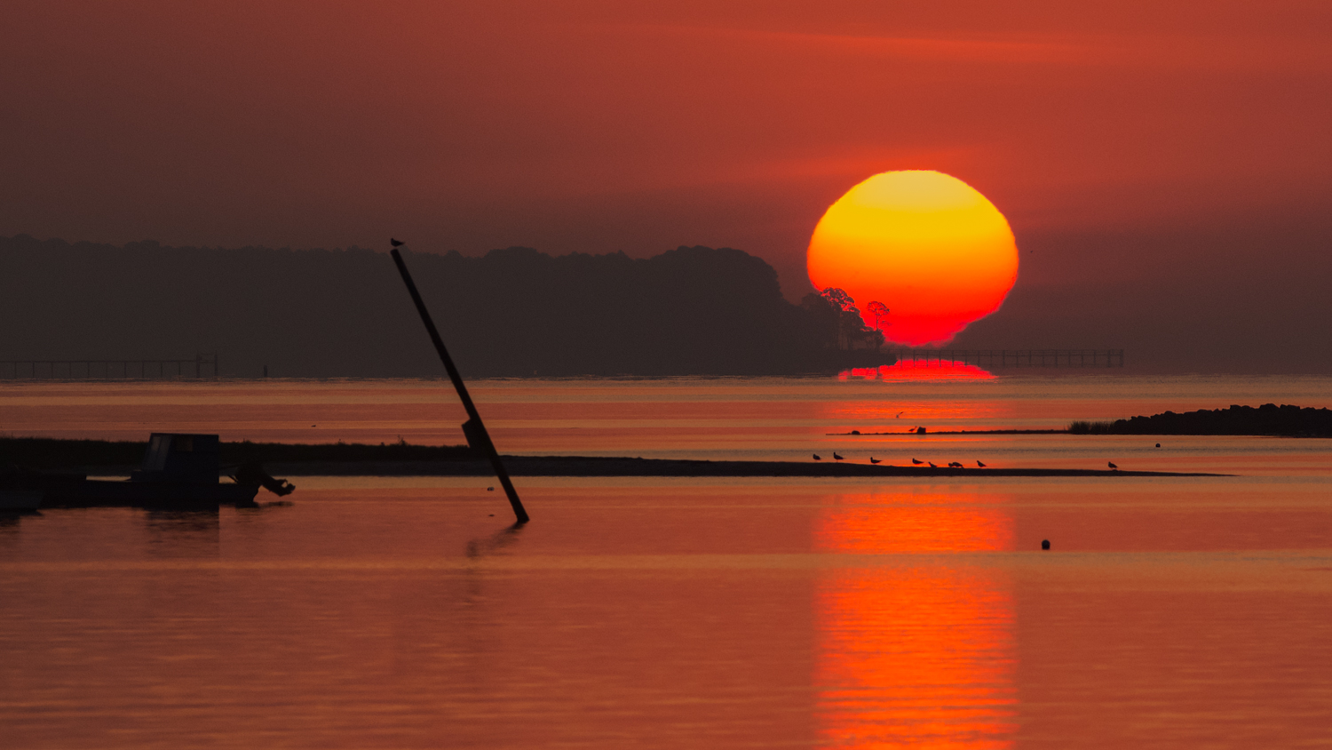 Musings - Travel associated with bird photography