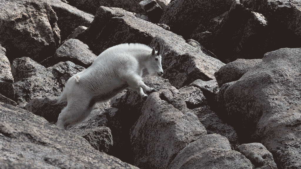 Mt. Evans - August 27, 2018