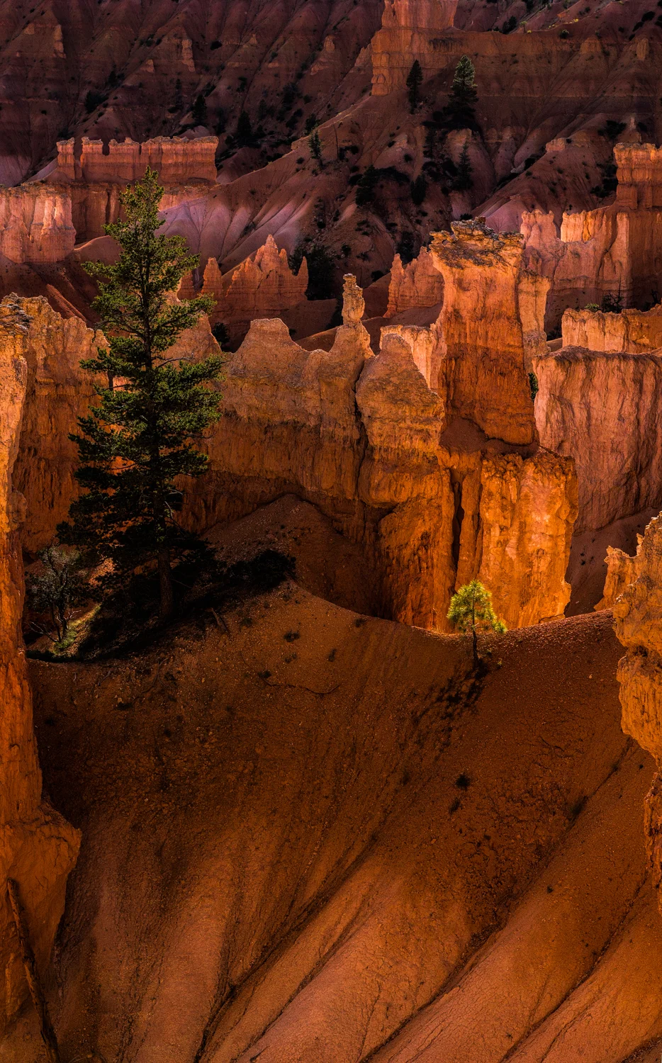Bryce Canyon, AZ - July 2015
