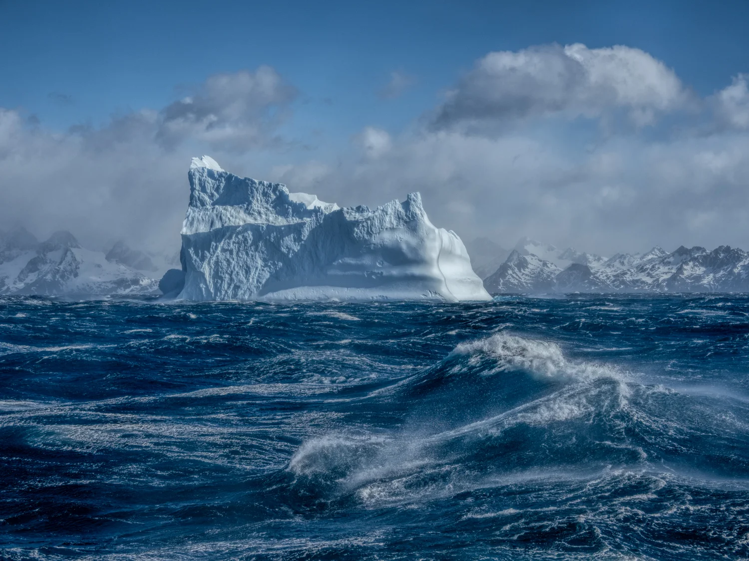 South Georgia - Falklands Expedition Report - Part 1
