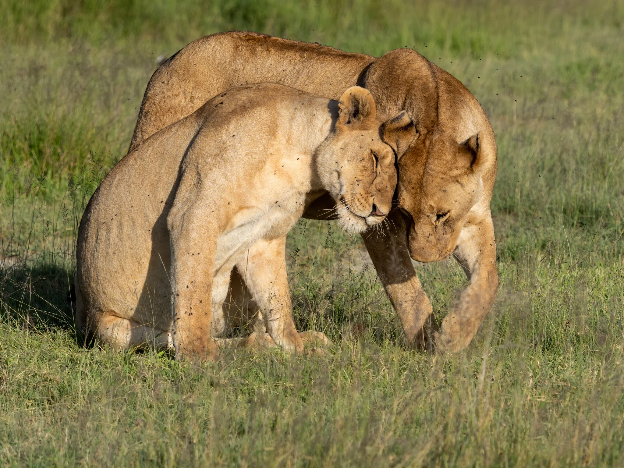Tanzania - 2020 - Part 1