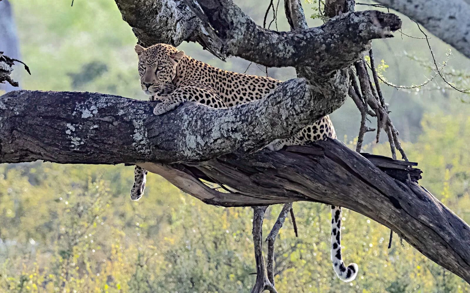Tanzania - 2020 - Part 5