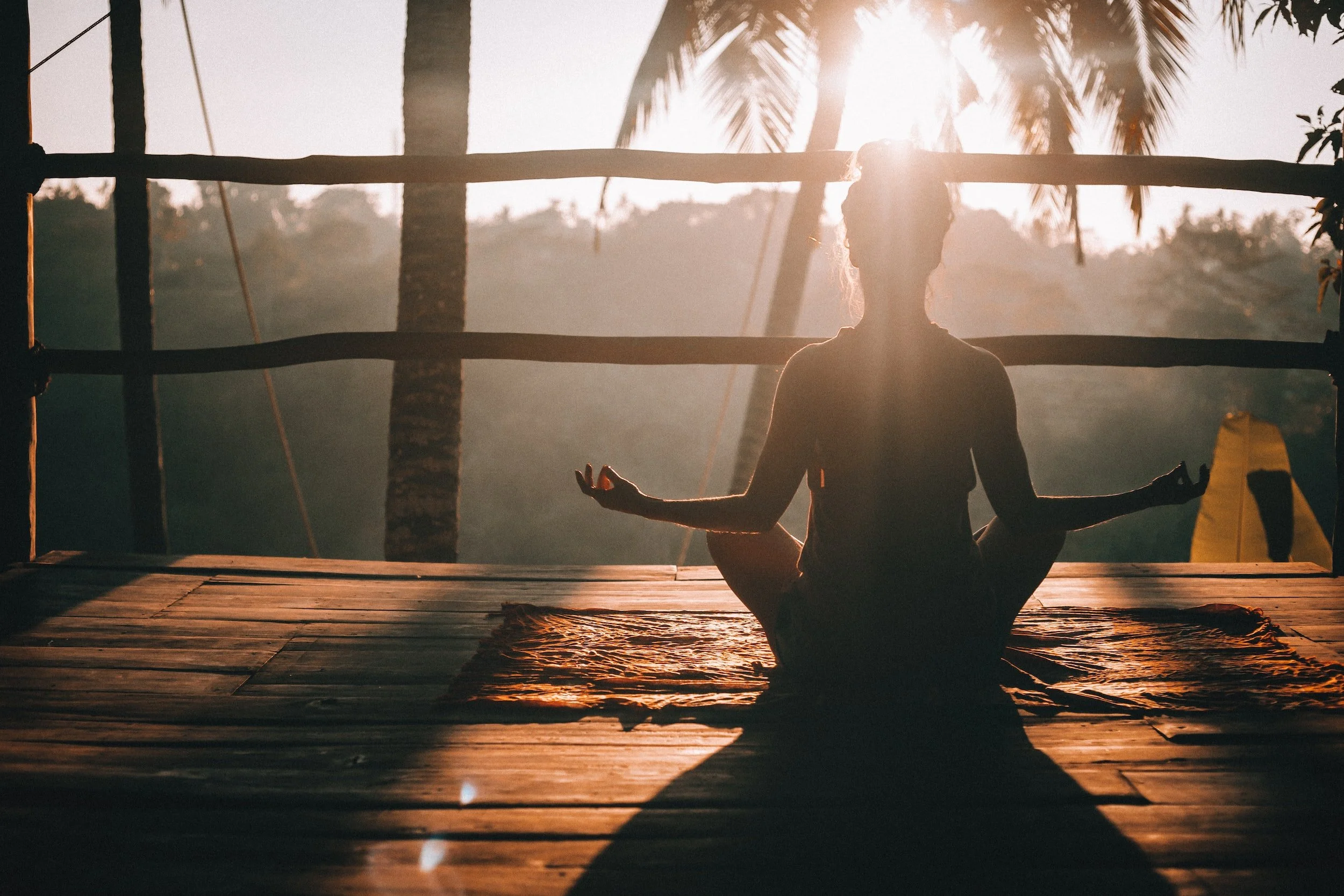 HEALTH & WELLNESS