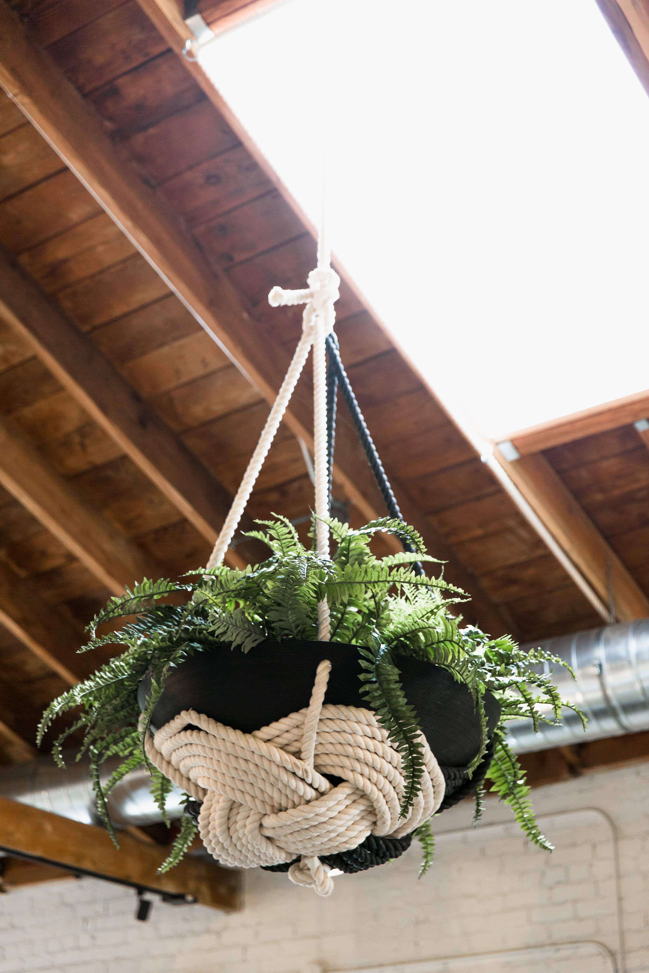 Large Skylight Hanging Plant Office Party.jpg