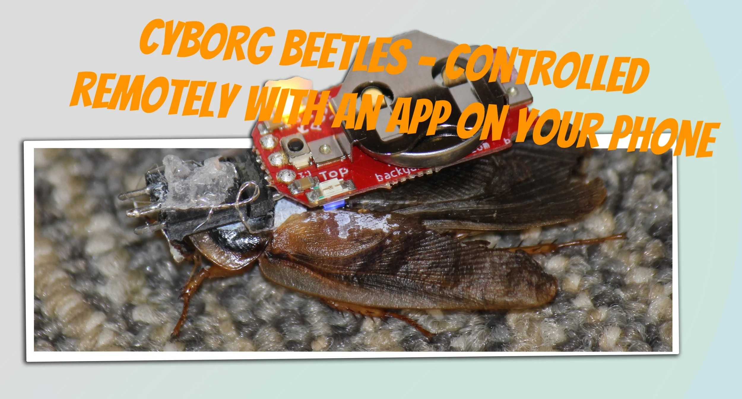 Remote Controlled Cyborg Beetle