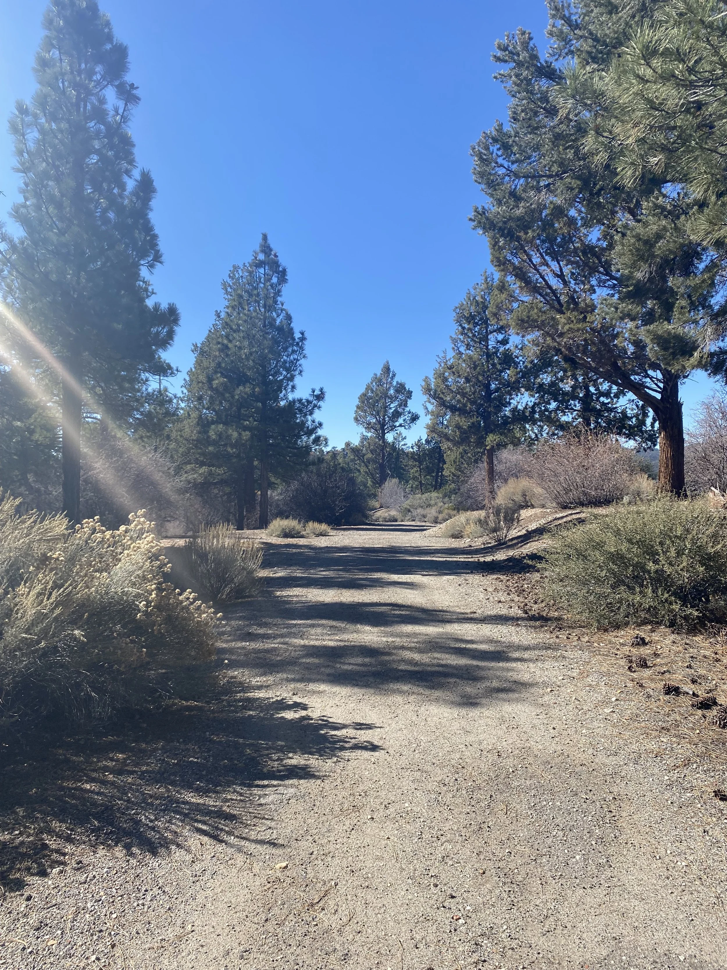 In Person: Opening to Inner + Outer Change: A Life Balance Retreat