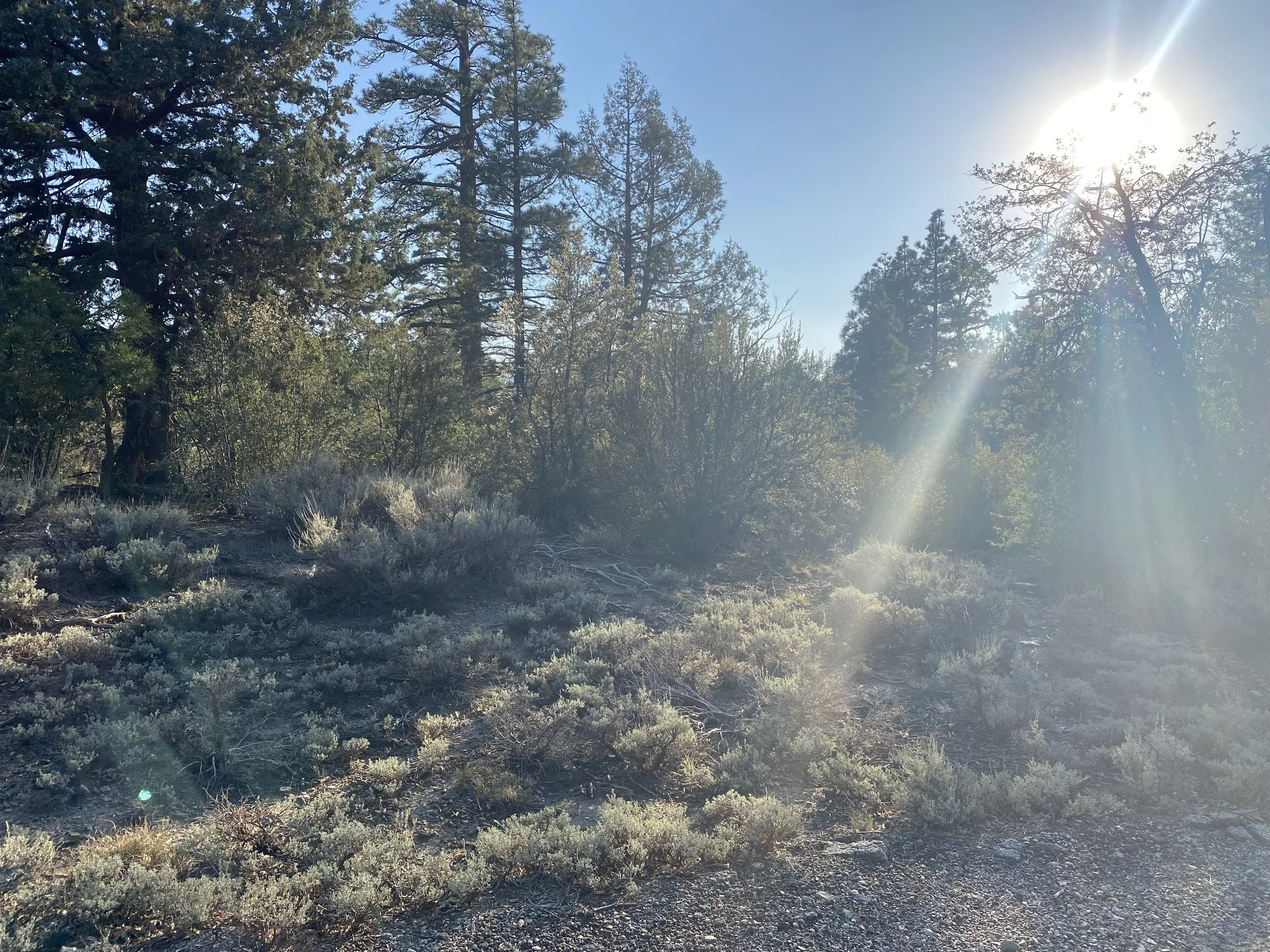 In Person: Calm Abiding: A Retreat for Cultivating a Concentrated Mind