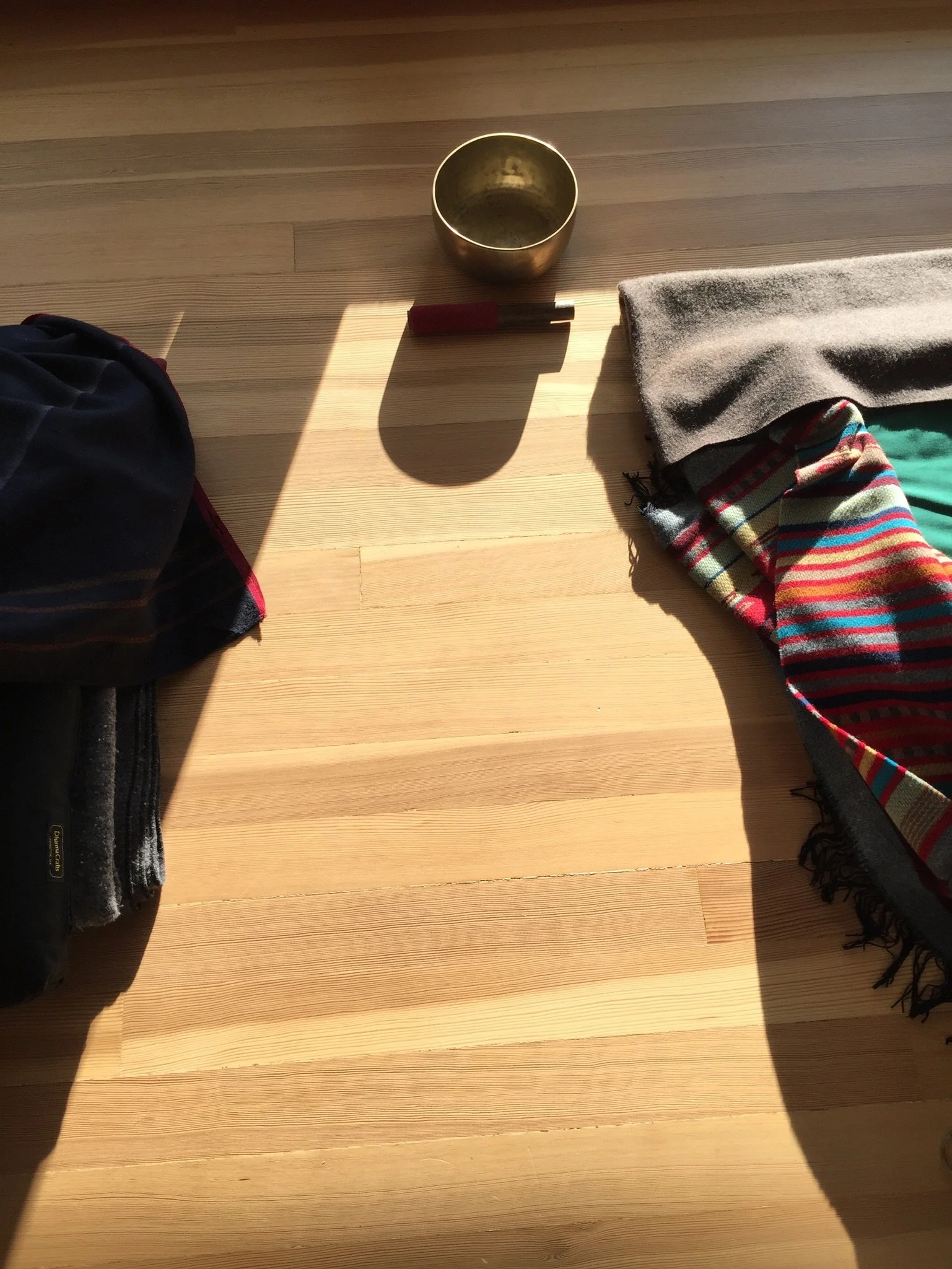 Online Fall Insight Retreat: Seeing Clearly, Deepening Practice with Celeste + nico hase