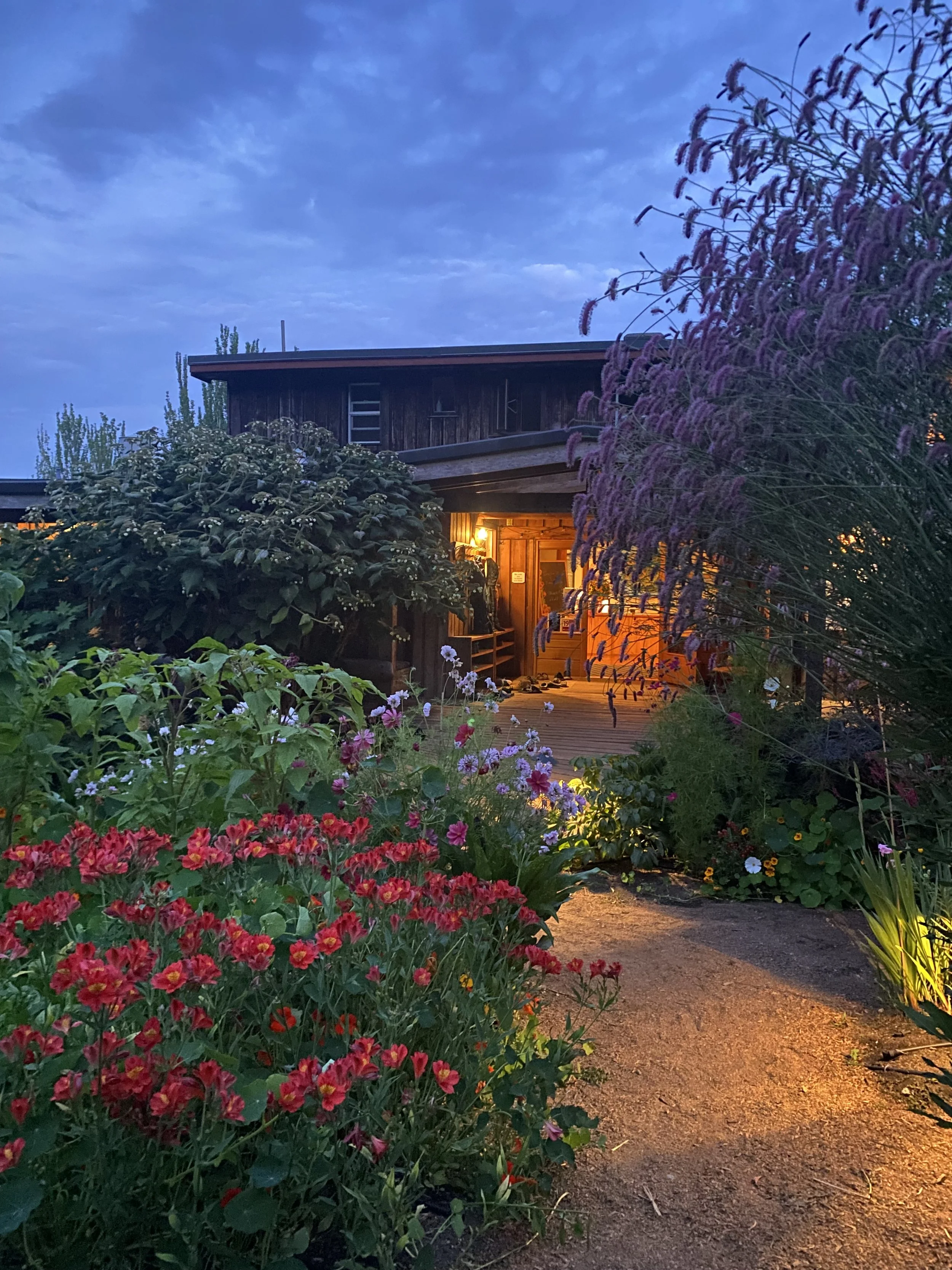 Finding Clarity & Joy in Times of Change: A Life Balance Retreat at Hollyhock with Celeste