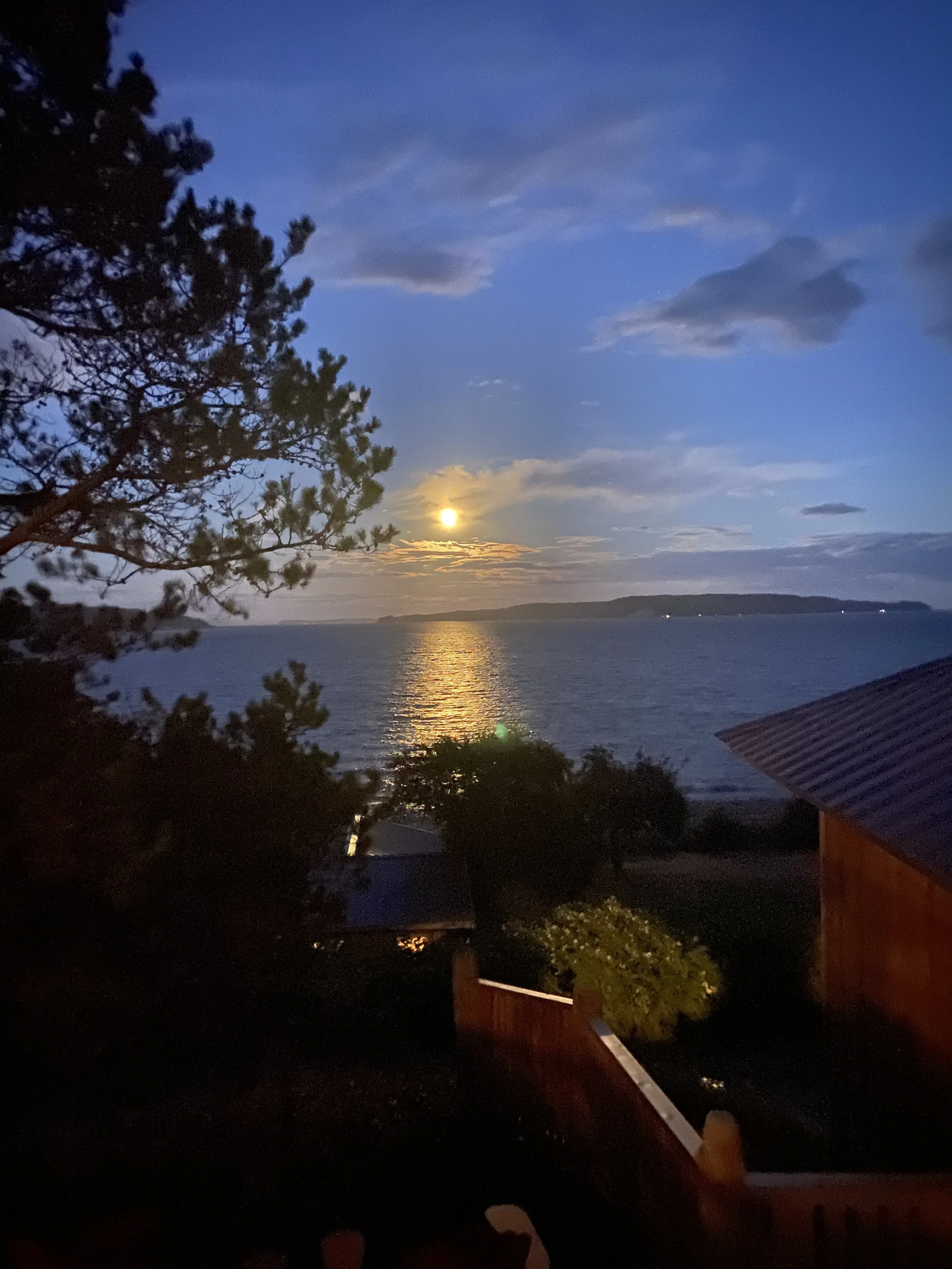 Deepening Tranquility & Insight: A Silent Meditation Retreat at Hollyhock with Celeste