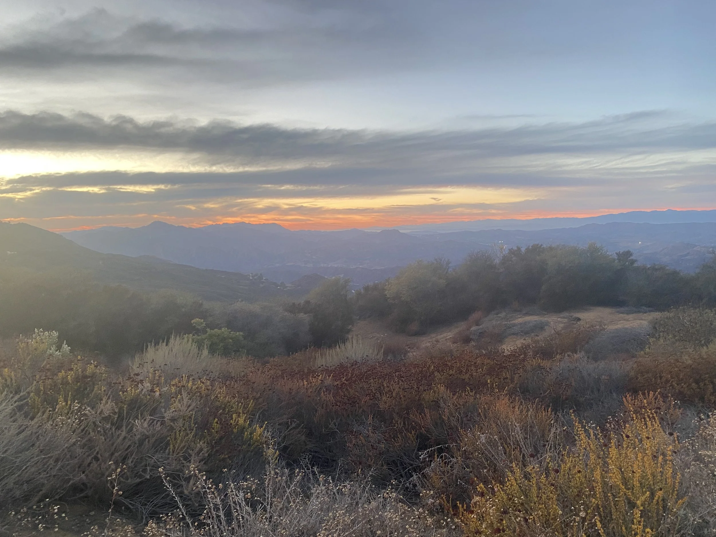 Drop in Meditation + Dharma