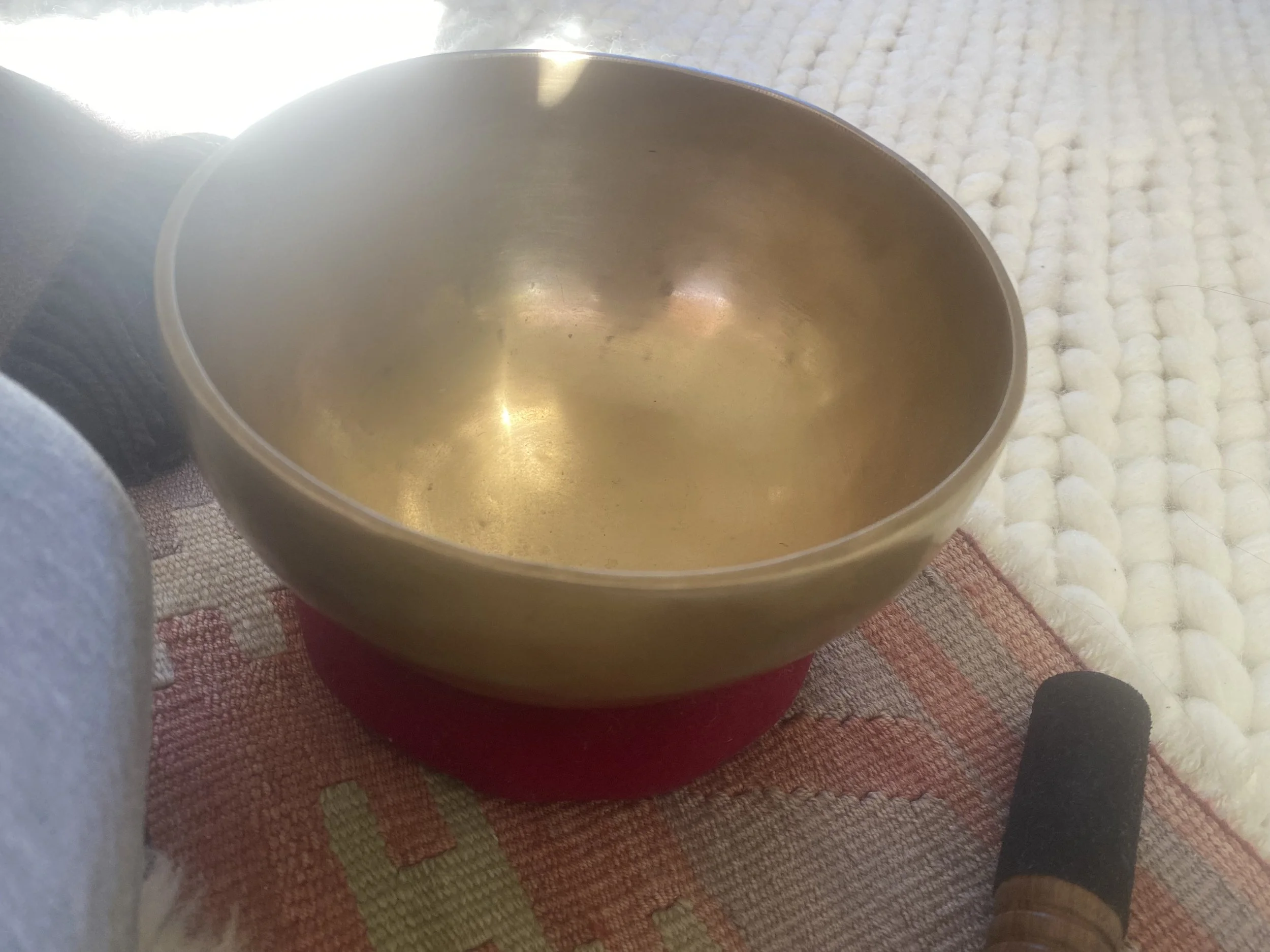 Drop in Meditation + Dharma