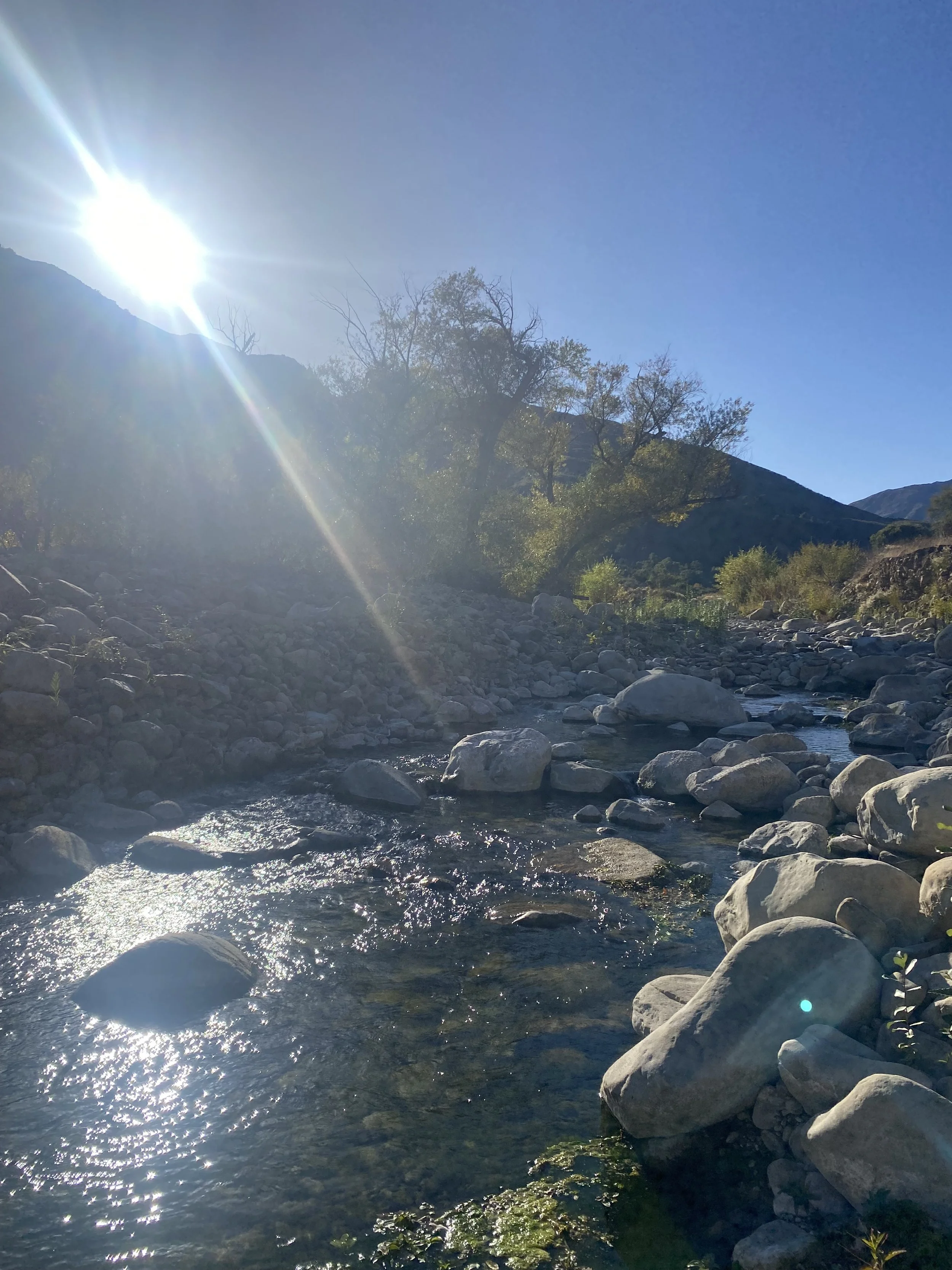 Drop in Meditation + Dharma