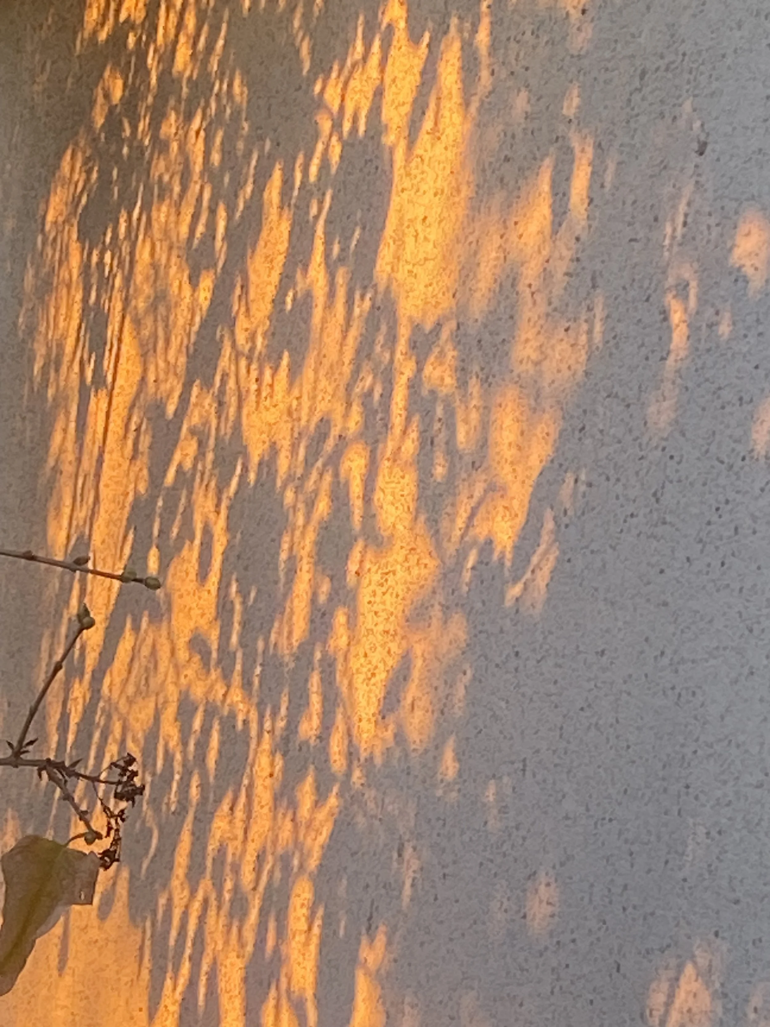 Drop in Meditation + Dharma