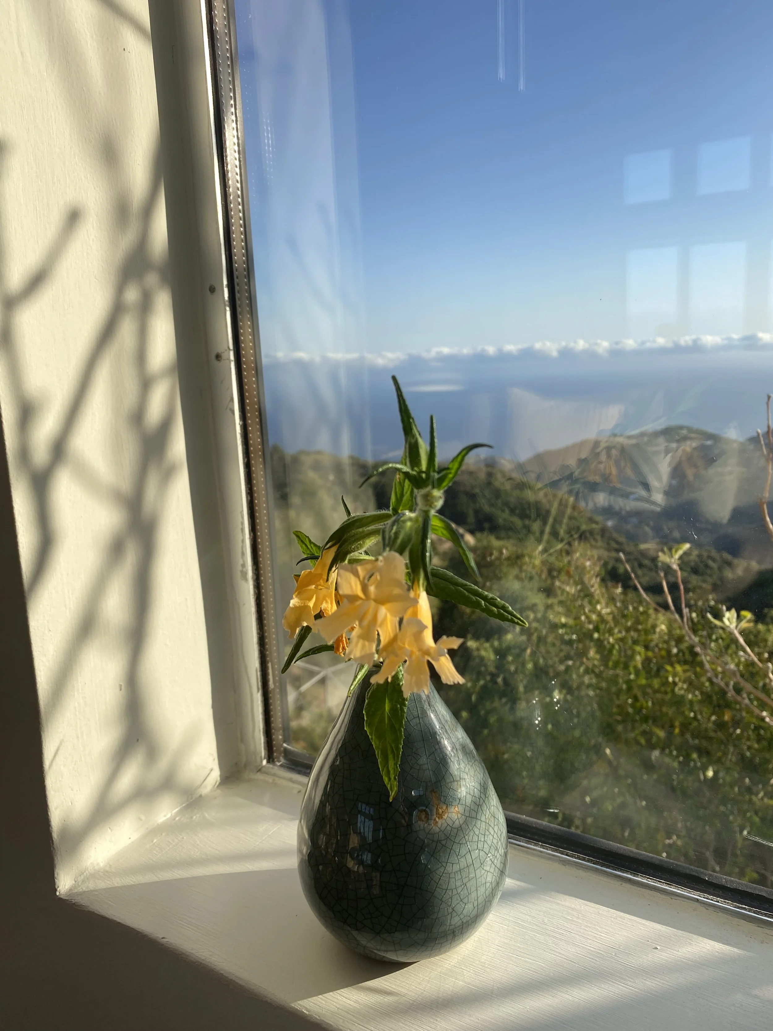 Spring Insight Meditation + Dharma Drop In