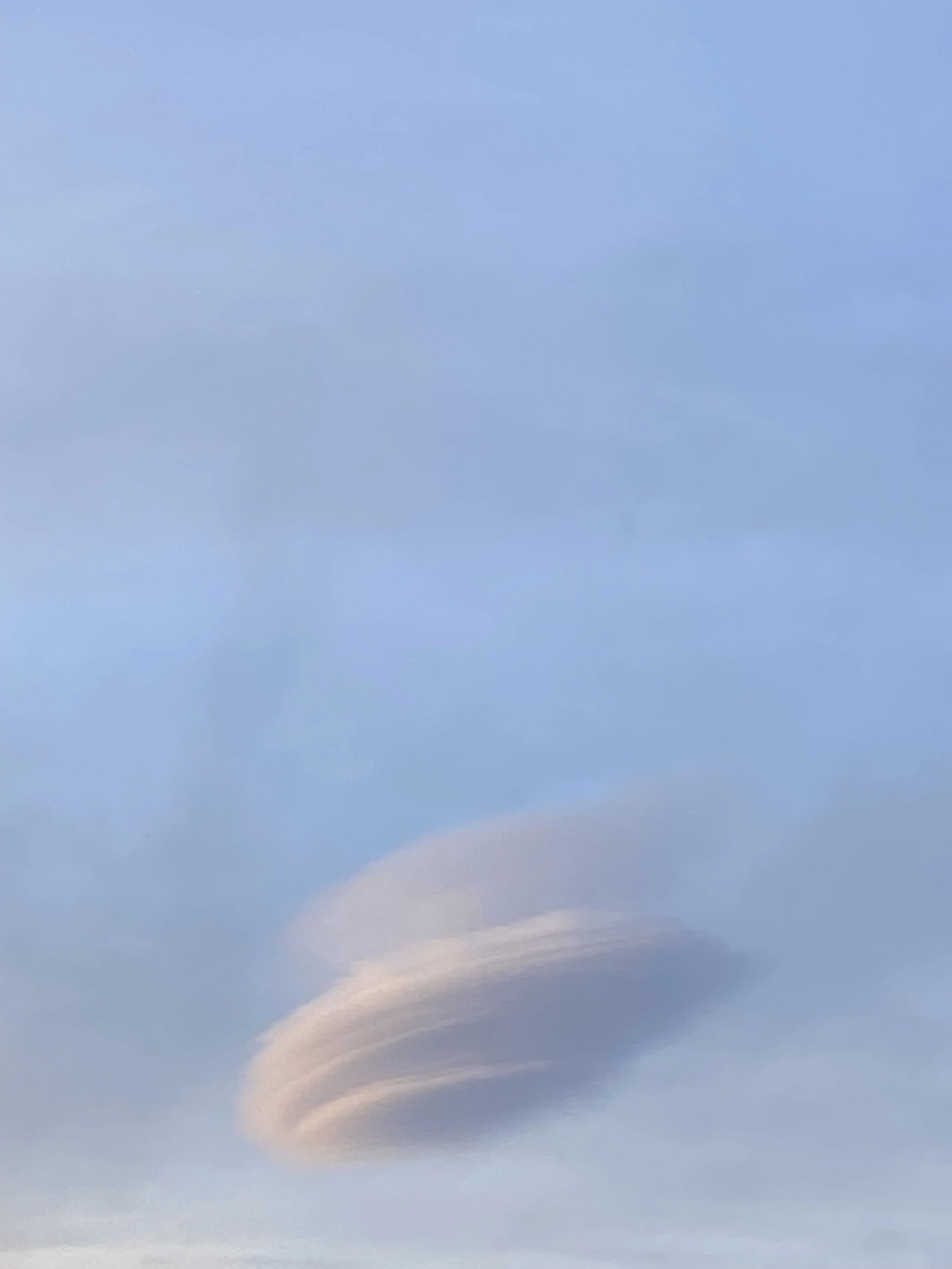 Spring Insight Meditation + Dharma Drop In