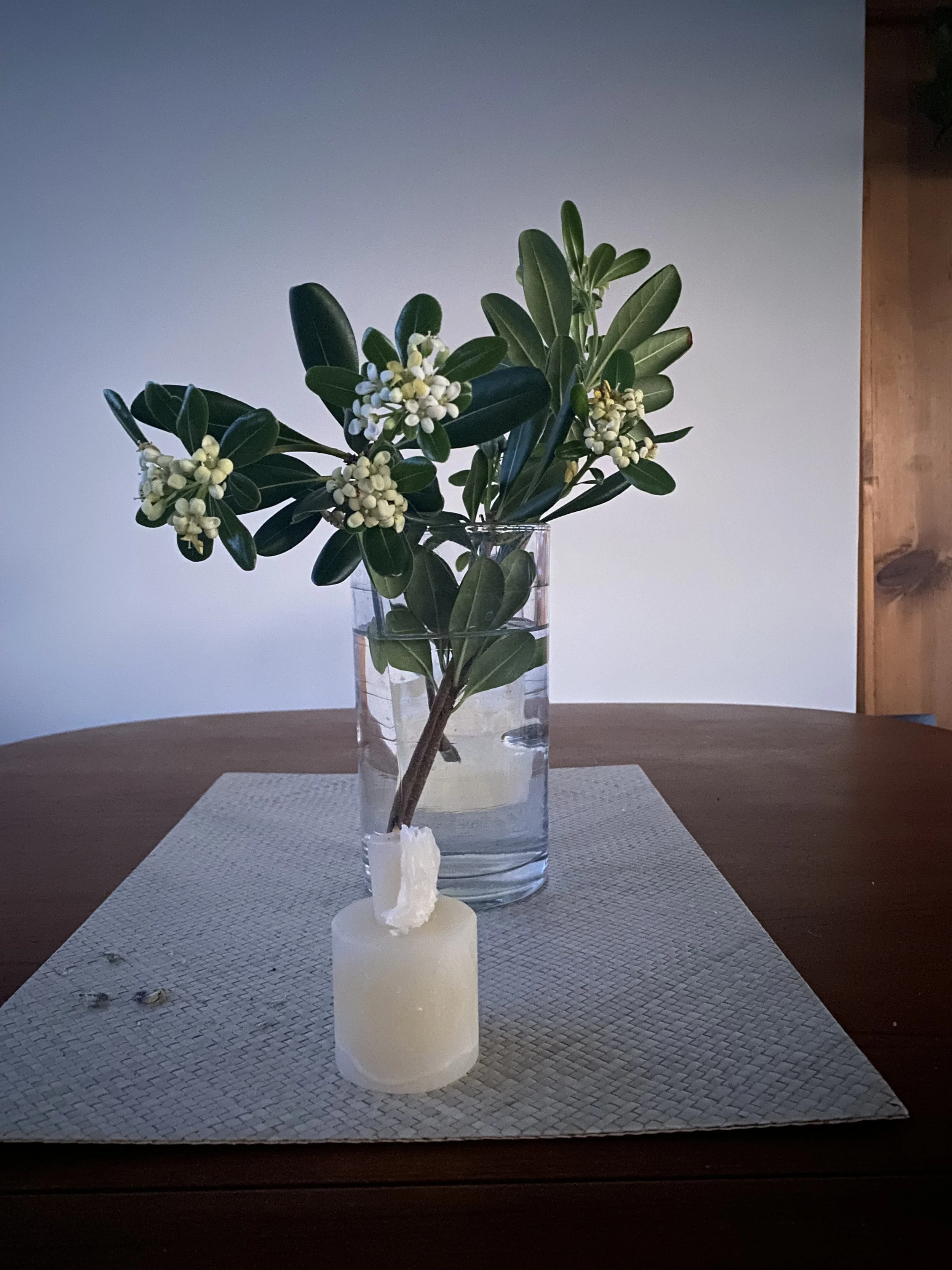 Spring Insight Meditation + Dharma Drop In: Vedana