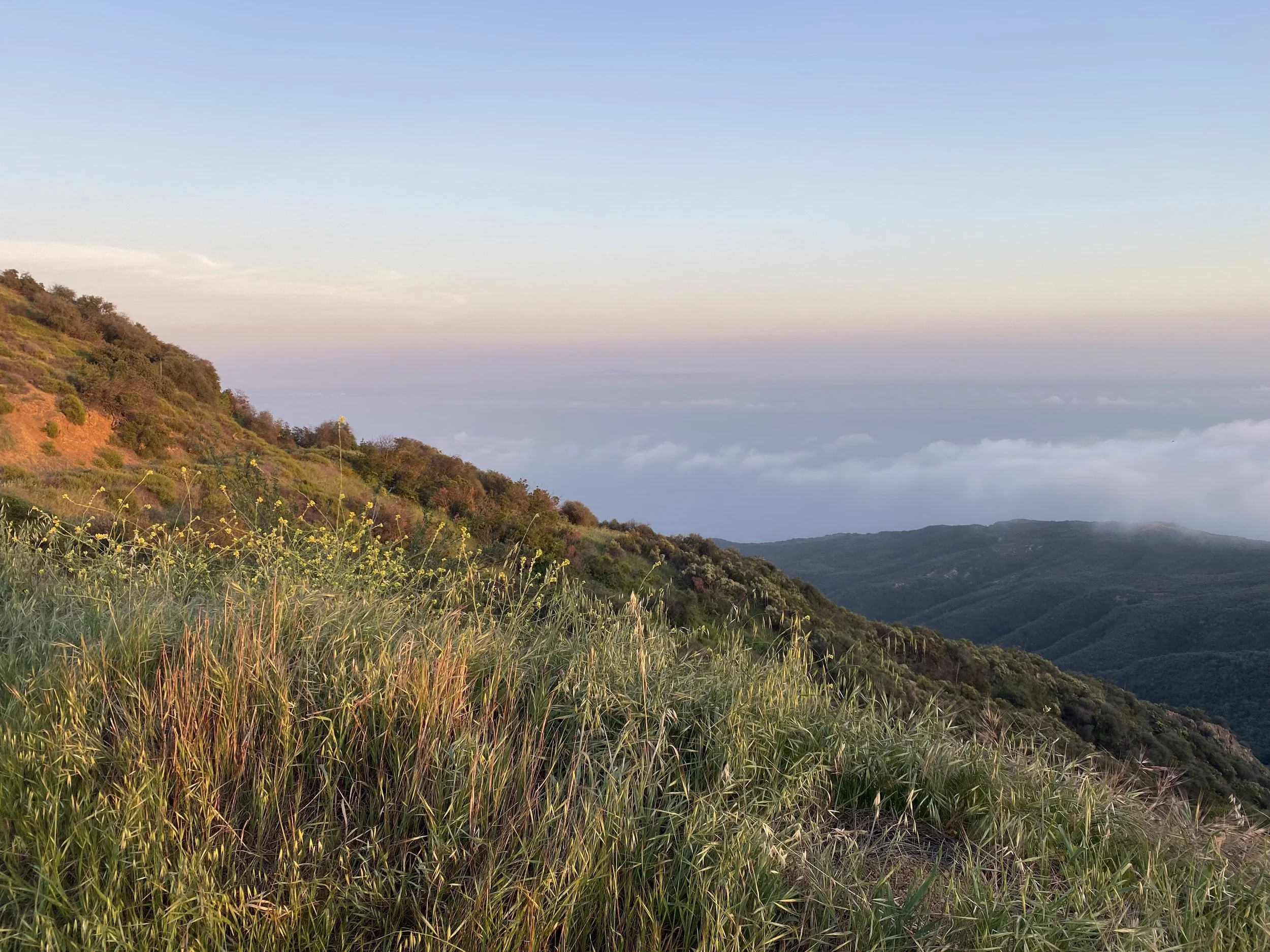 Metta (Lovingkindness) Meditation + Chanting