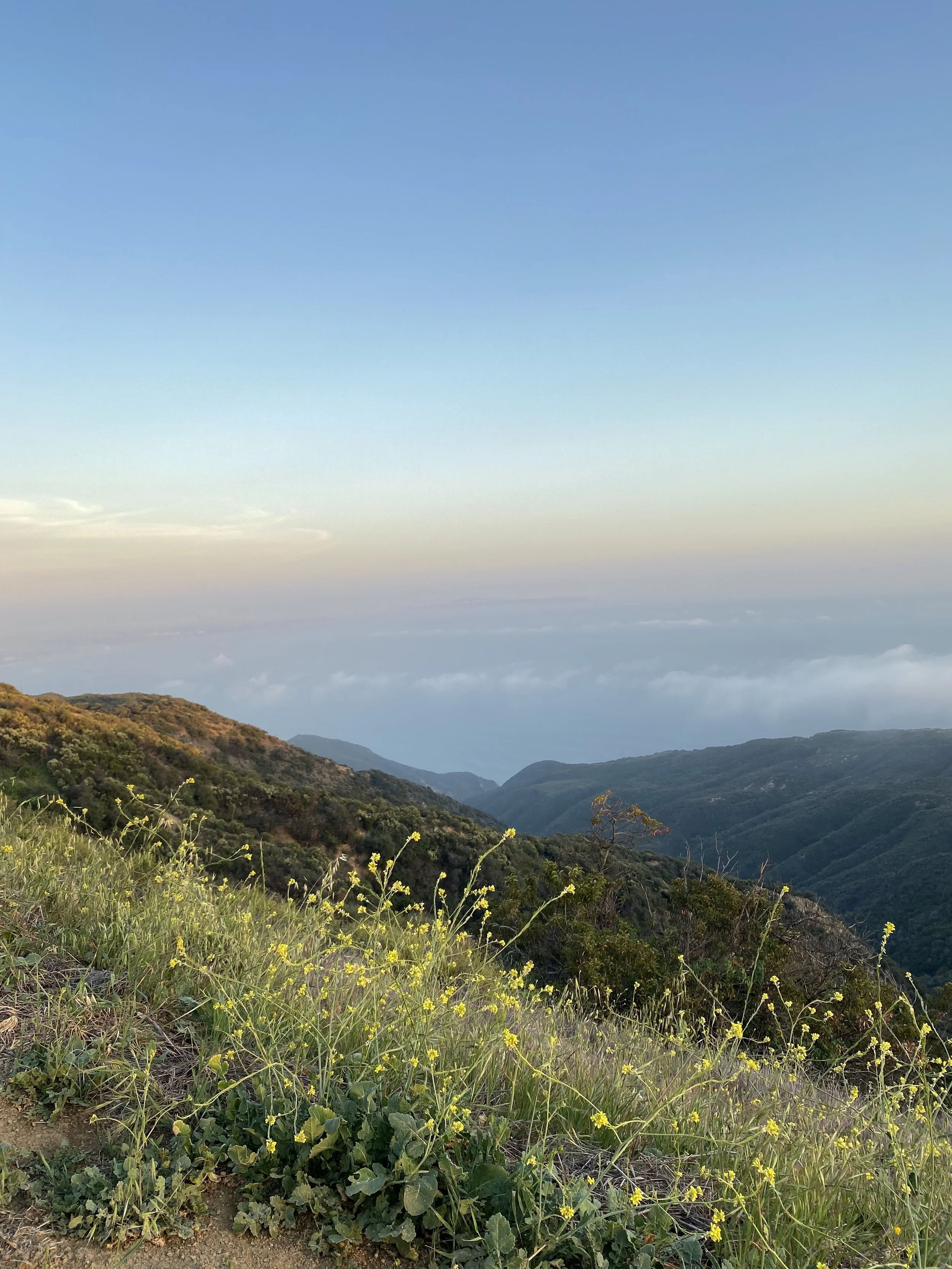 Metta (Lovingkindness) Meditation + Chanting